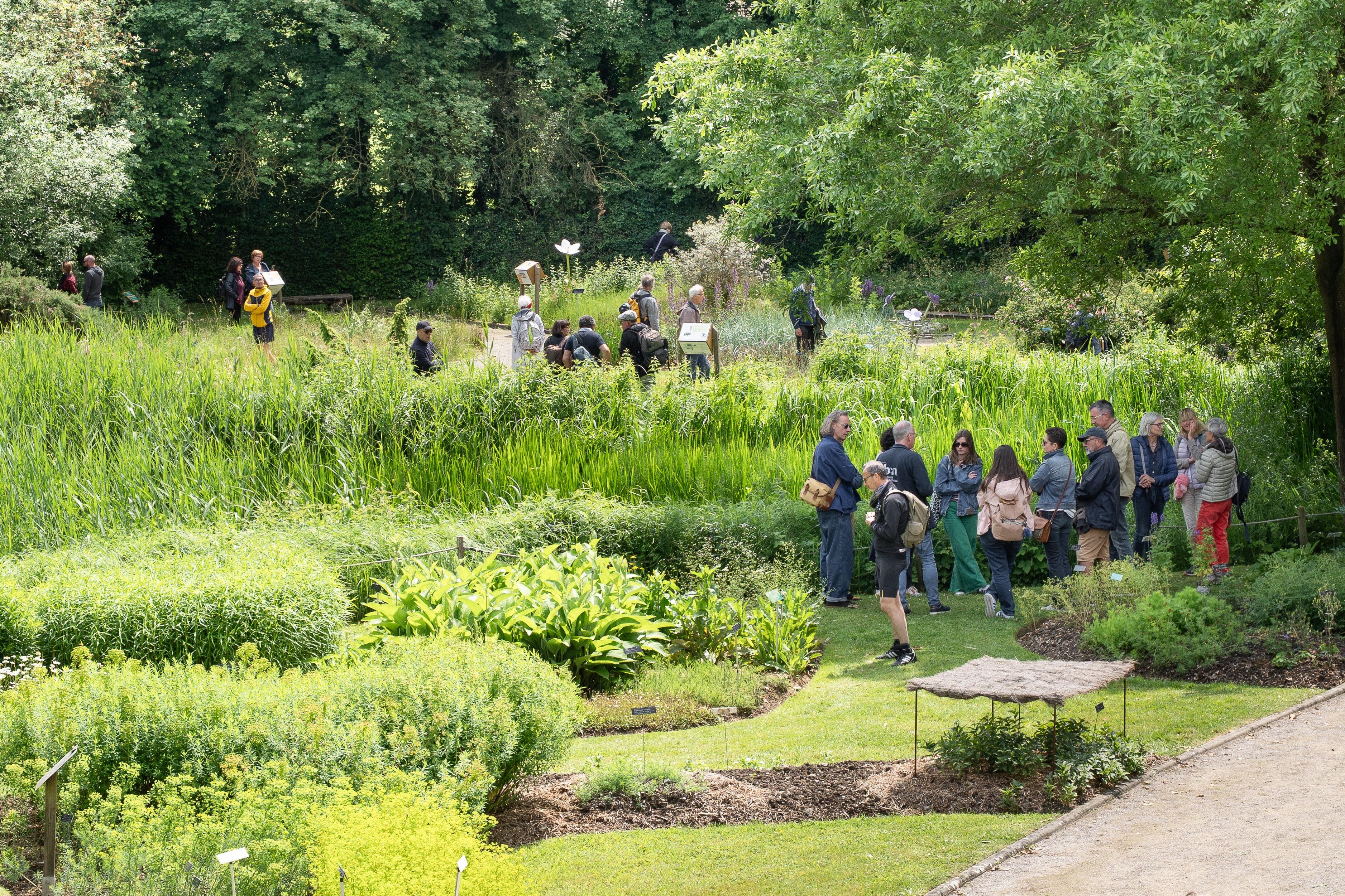 Conservatoire botanique national de Bailleul