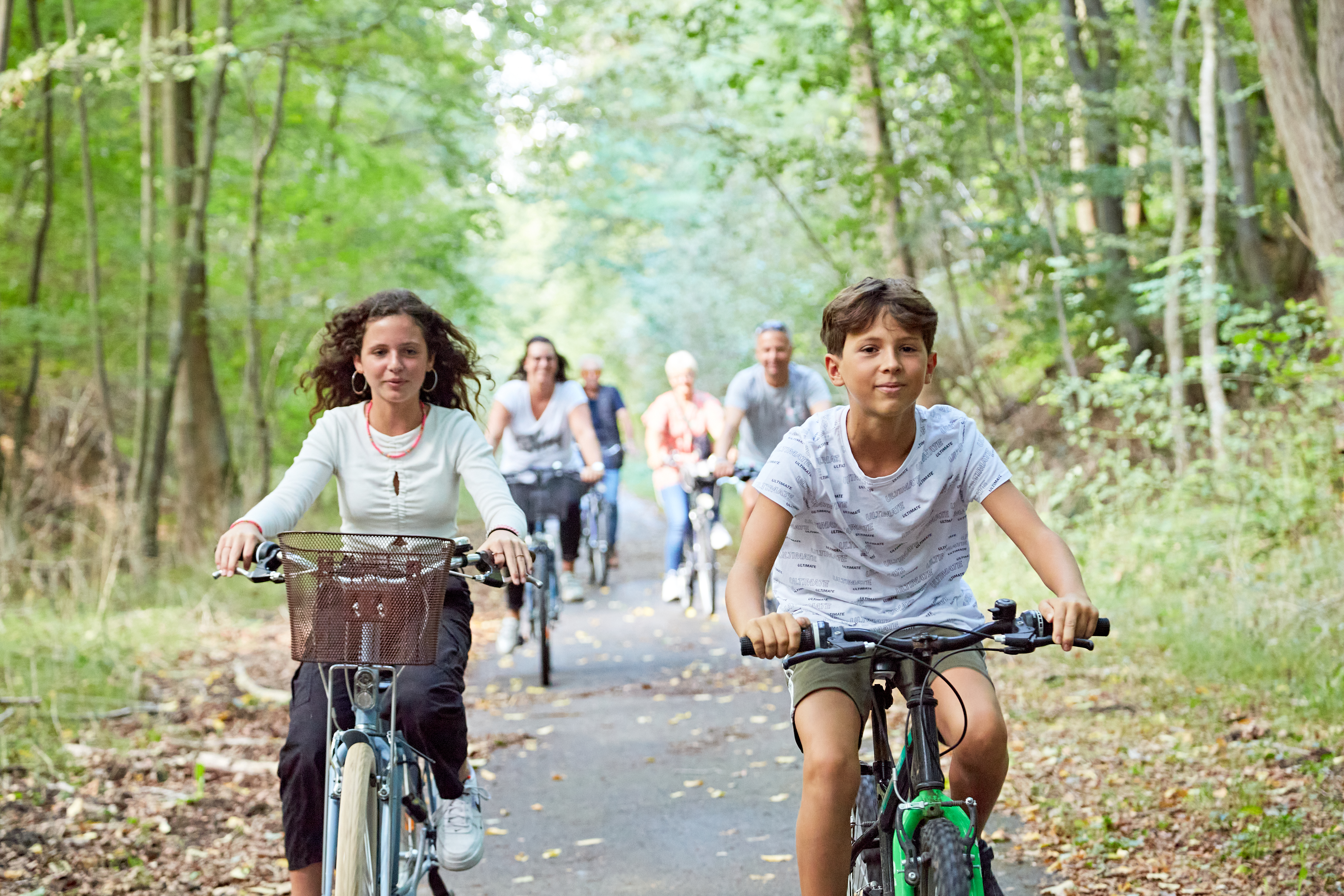 Picardie Forêts Vertes - Loueur de vélo