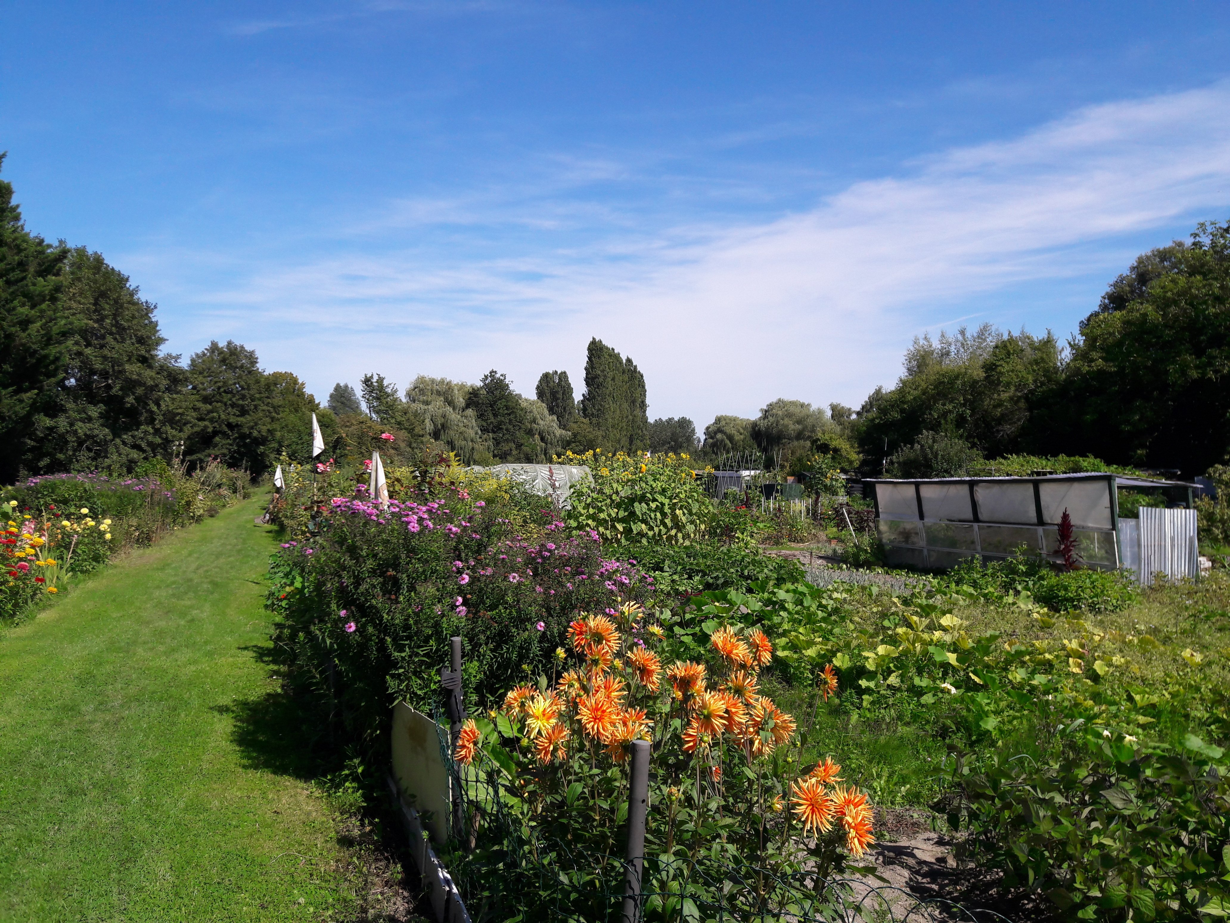 Rallye pédestre Sentier des Faubourgs de Senlis
