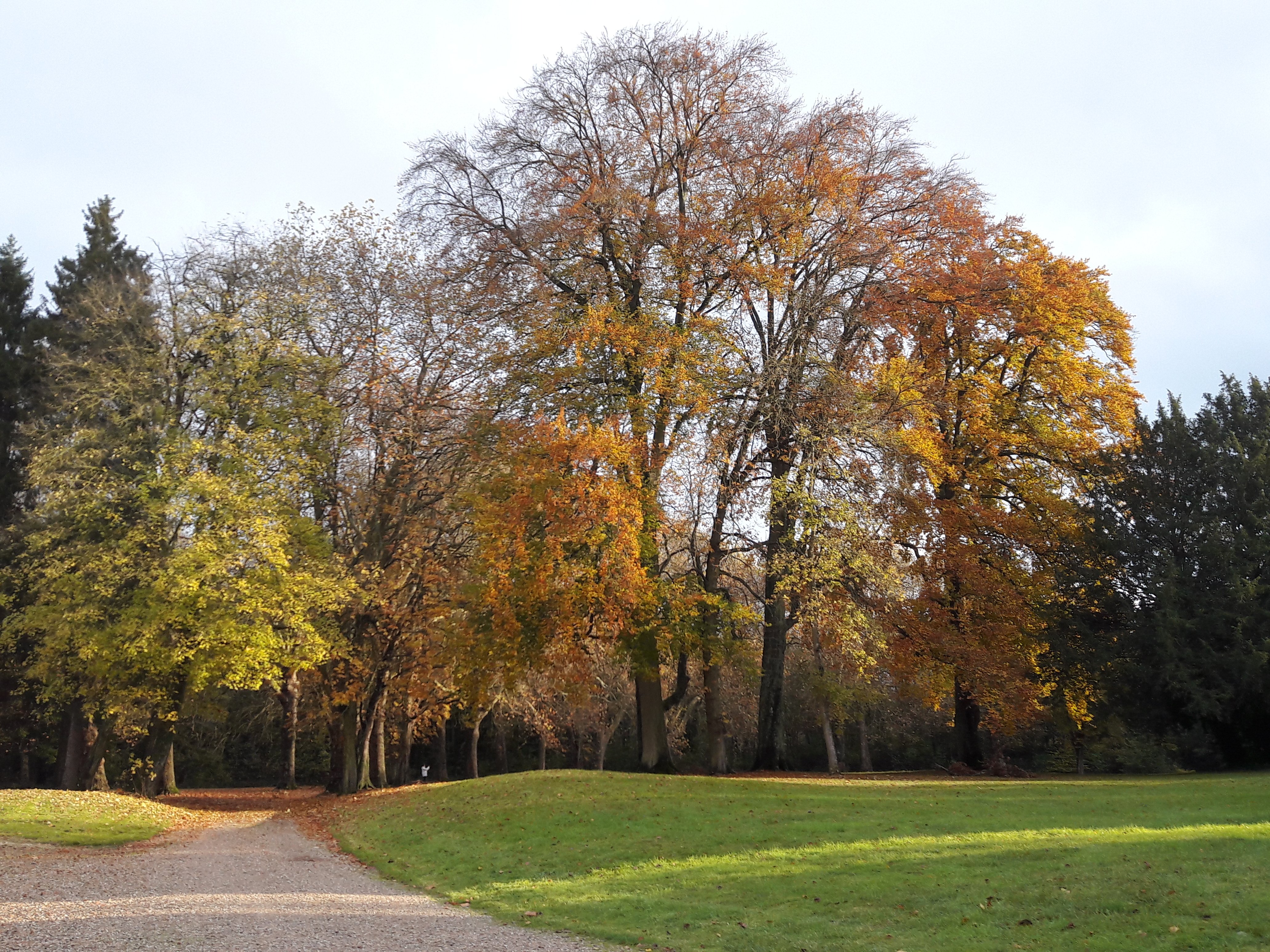 Parc et roseraie du Domaine de Chaalis