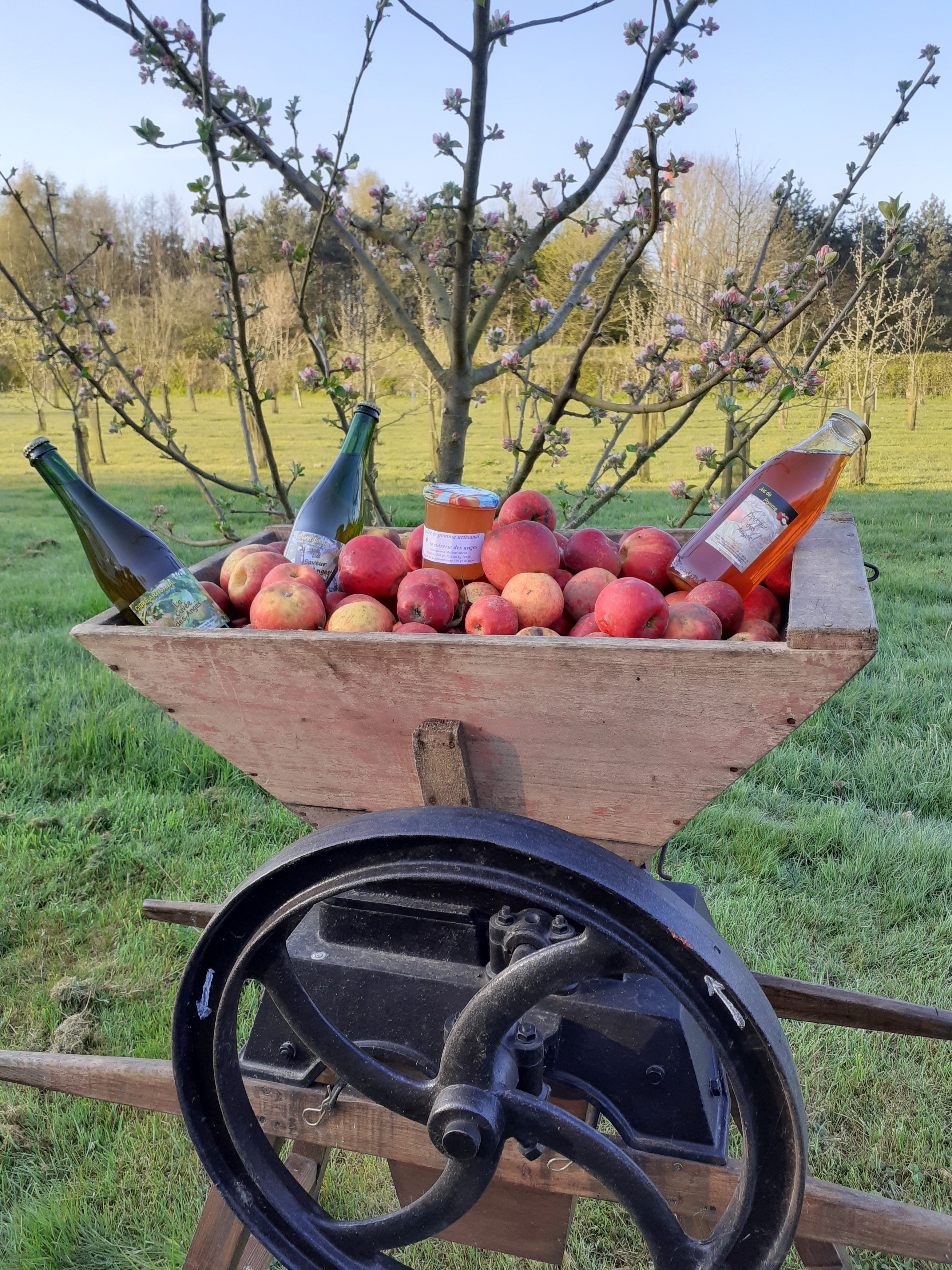 La Cidrerie des Anges