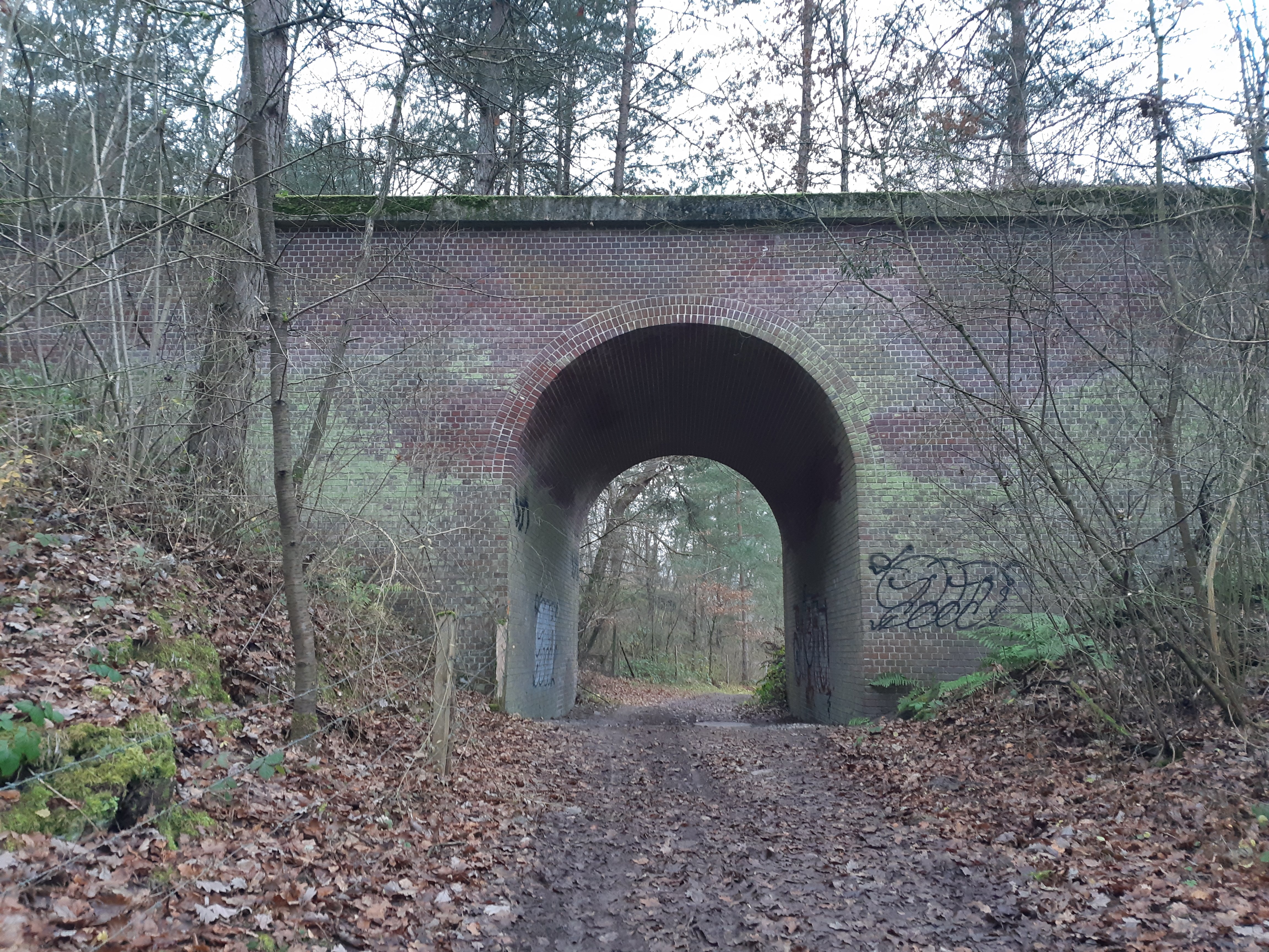 Plailly, des champs aux bois