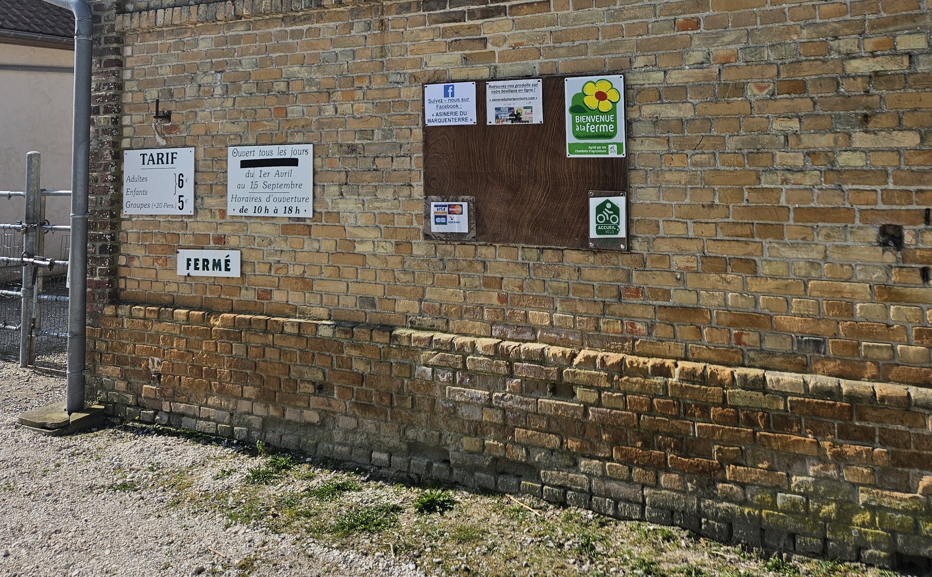 Asinerie du Marquenterre