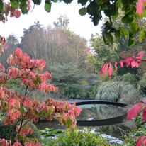 Jardin du Moulin Ventin