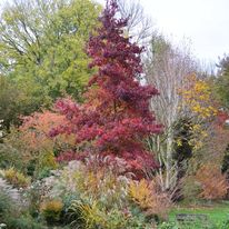 Jardin du Moulin Ventin