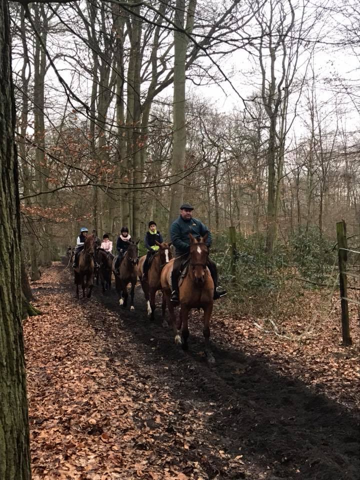 Écurie Cheval Passion