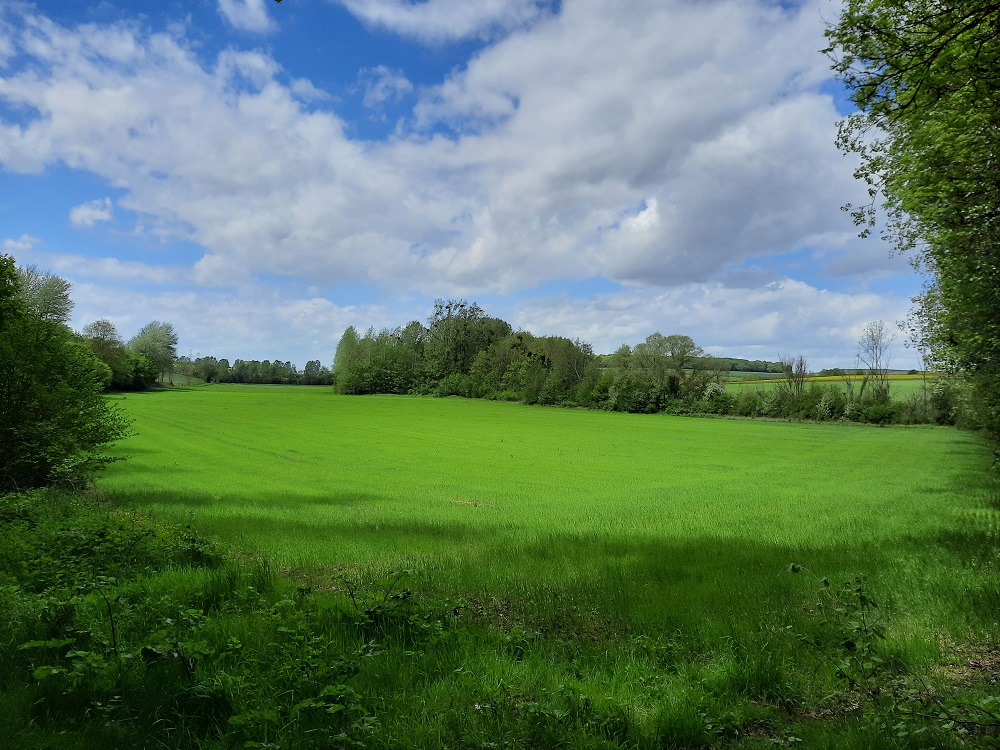 Des jardinets au bois Louvet (variante)