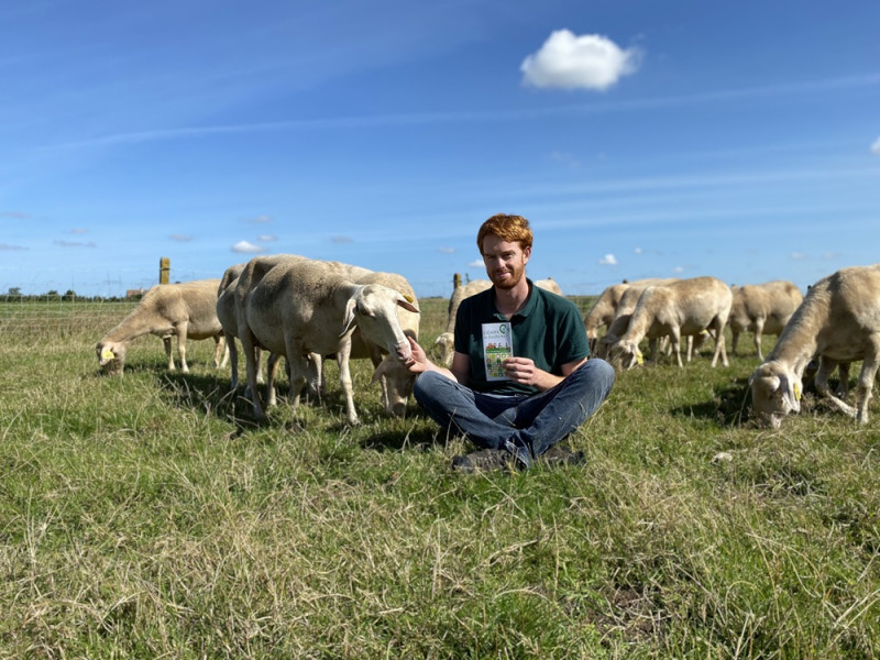 Découverte d'un élevage de brebis et dégustation à Hondschoote