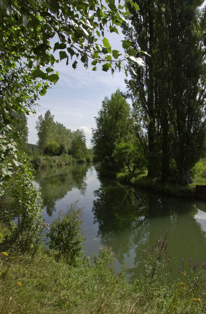 Abords de la riviere_a_Assis-sur-Serre_SLefebvre