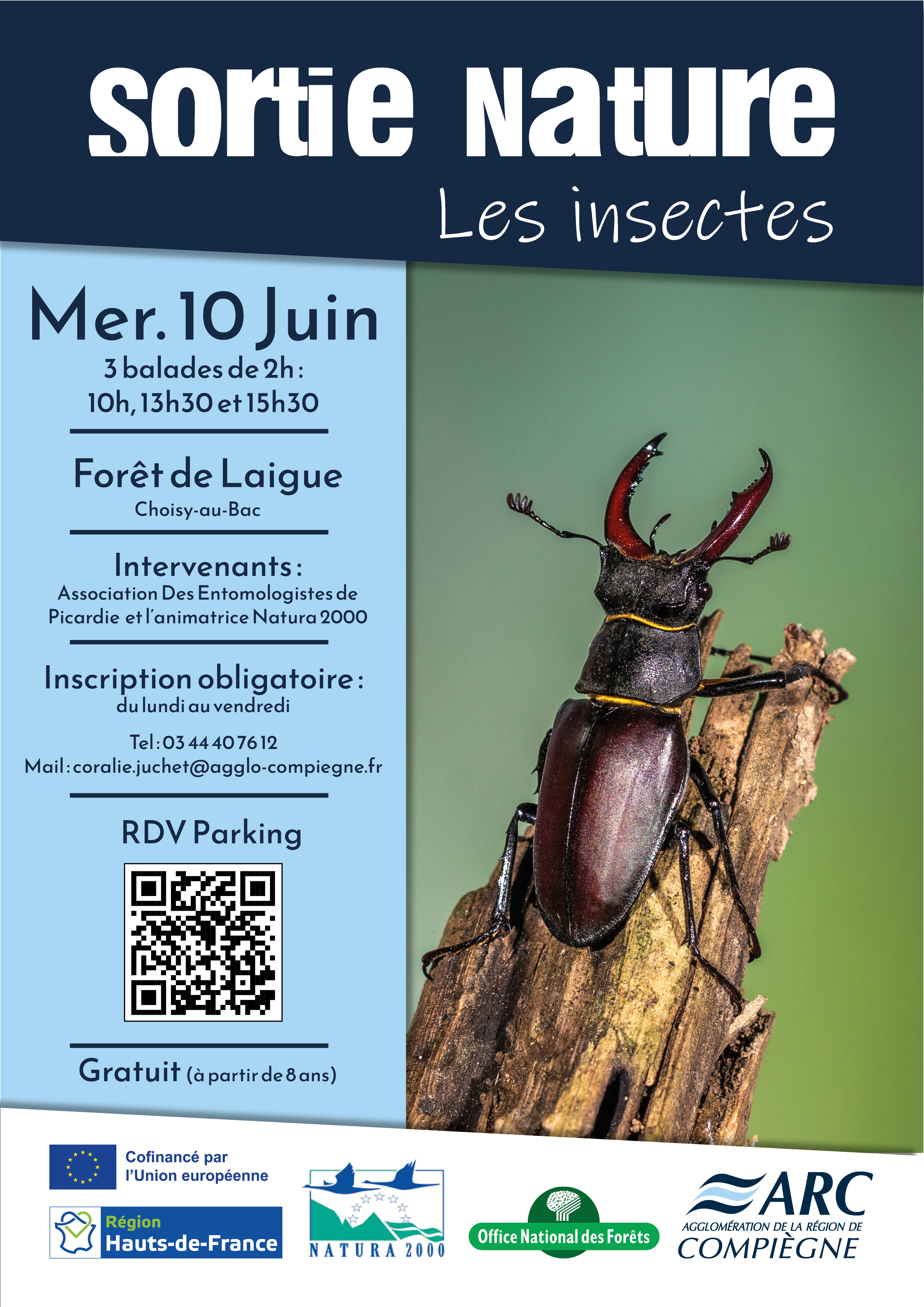 Sortie nature | Les insectes — visuel événement