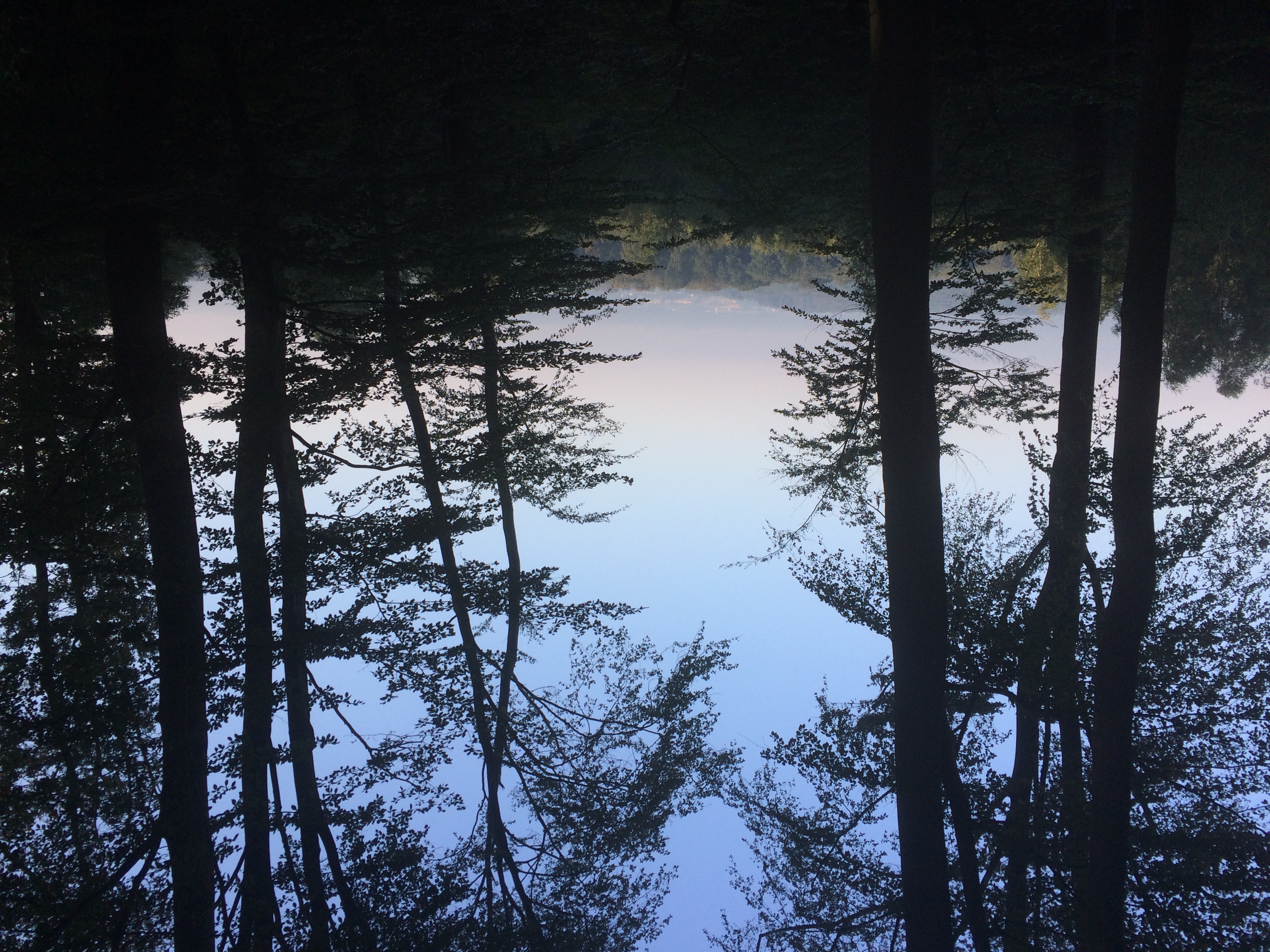 Annie Ocana, guide découverte nature patrimoine