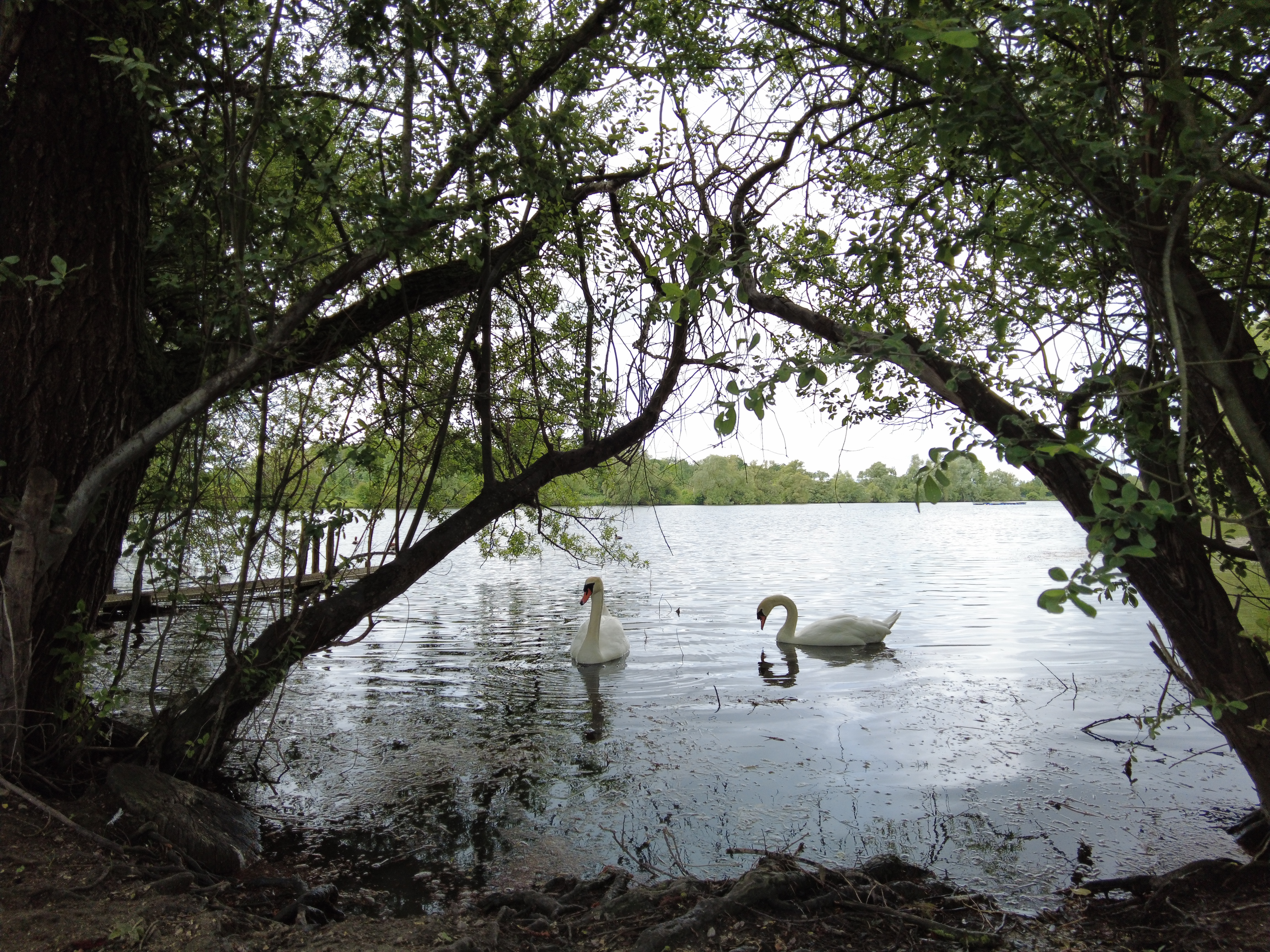 Parc animalier du Marais