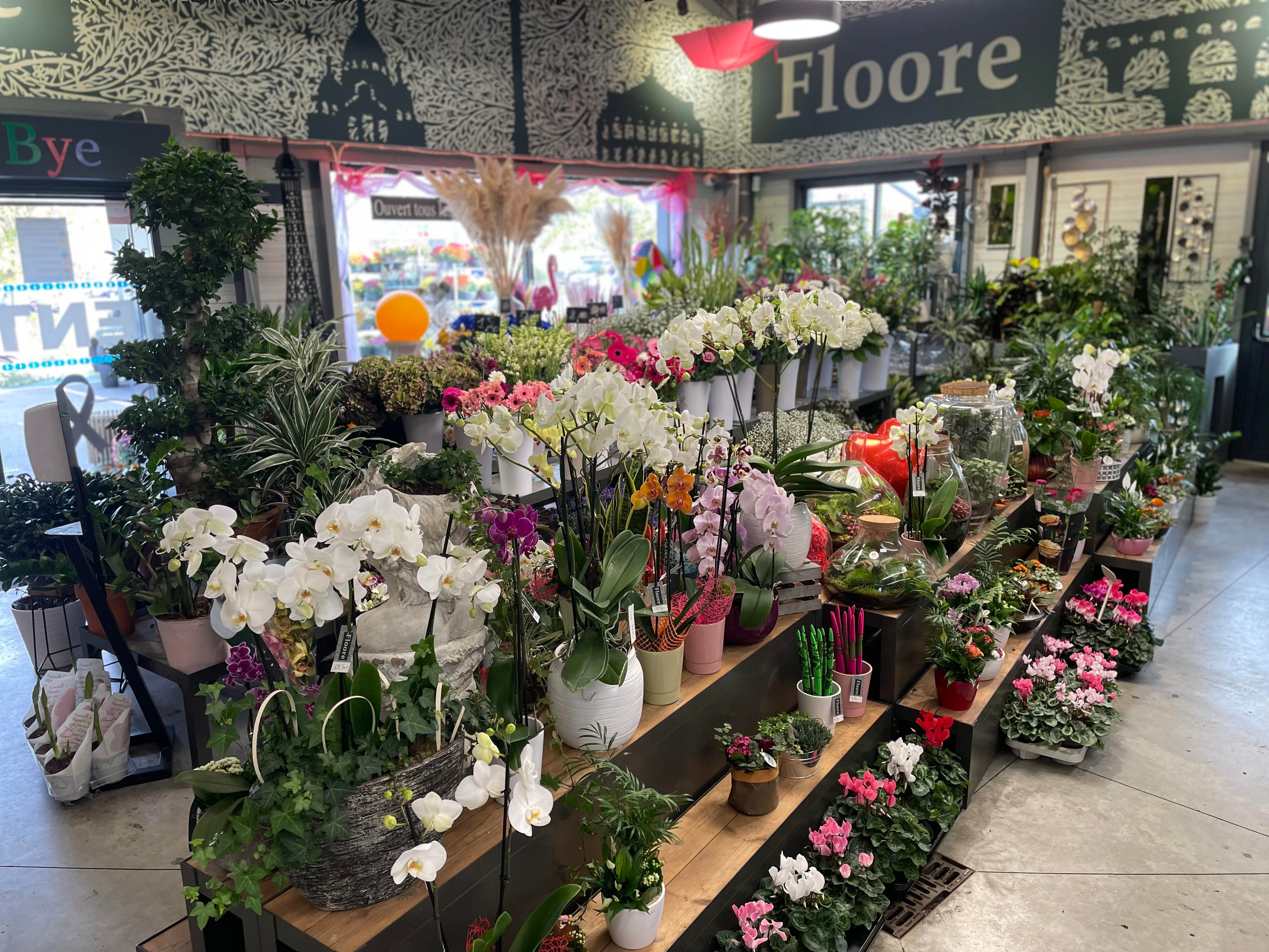 Floore