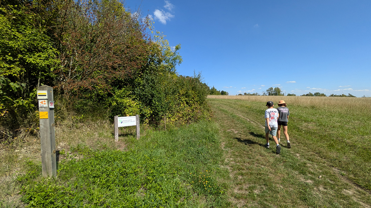 Pelouse calcicole de Chermizy-Ailles