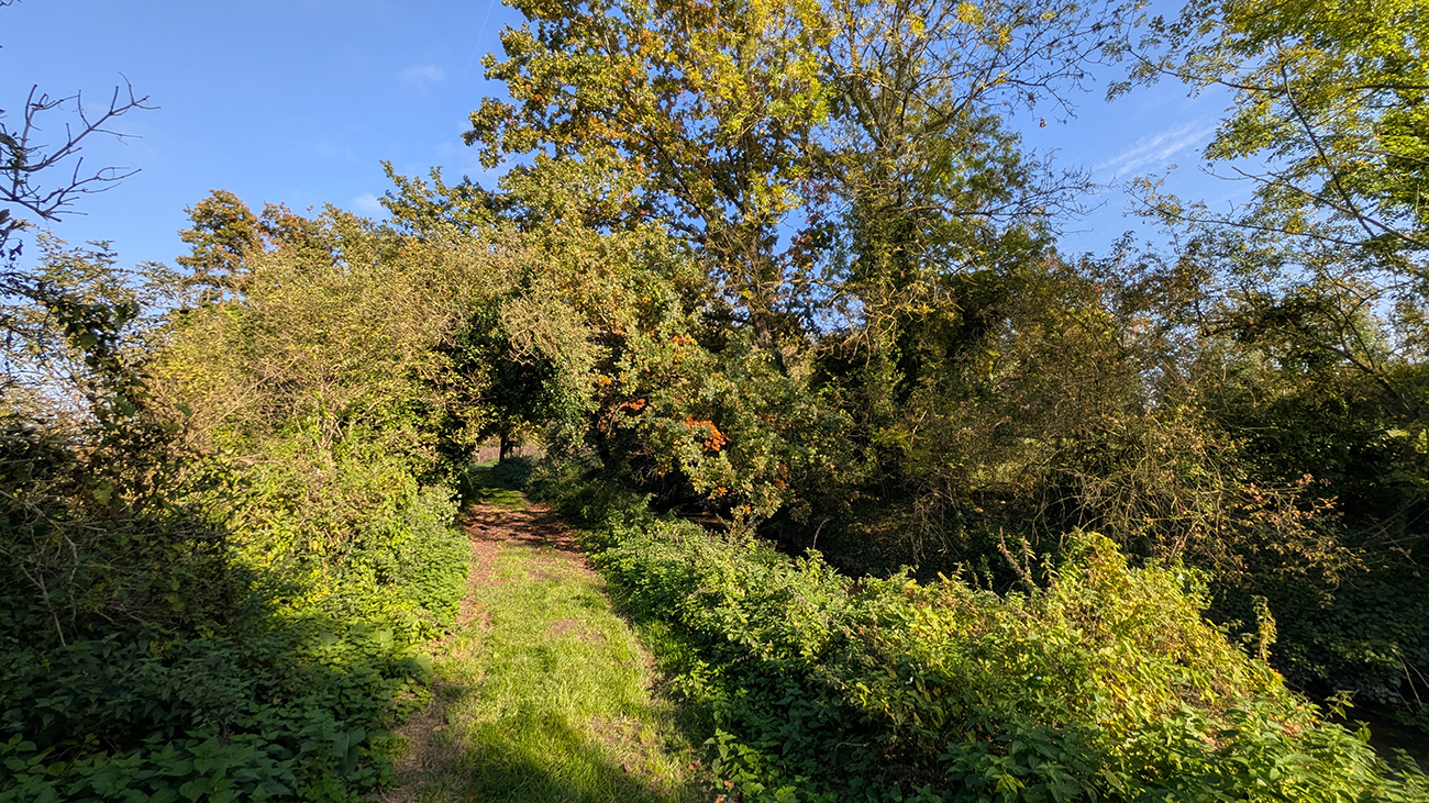 Le chemin vert II < Laon < Aisne < Picardie