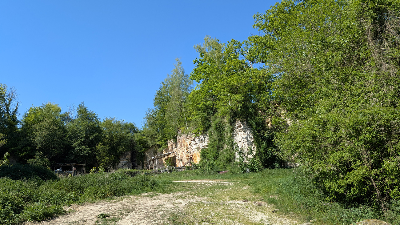 Sortie nature à Colligis-Crandelain : "Entrez dans l’Histoire au cœur de la carrière de Colligis"