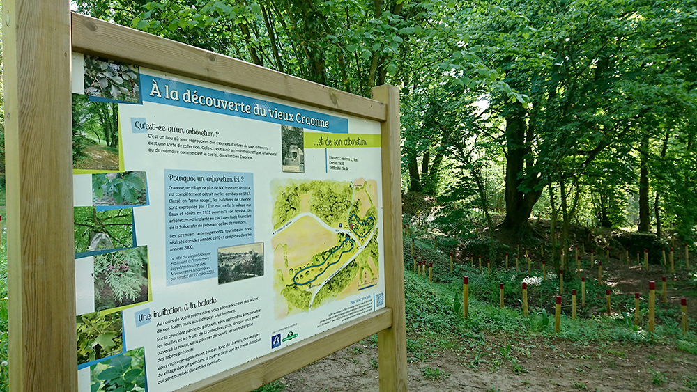 Arboretum 2019 I < Craonne < Aisne < Picardie