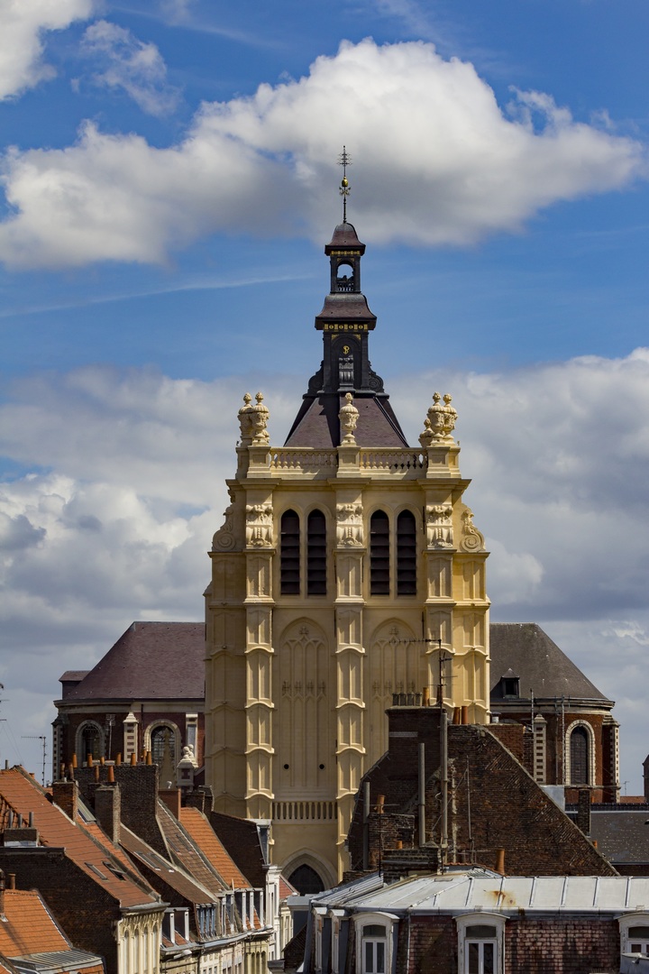 Collégiale Saint-Pierre, Douai