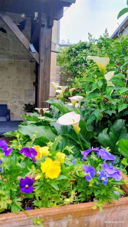 Gîte Les Tourterelles