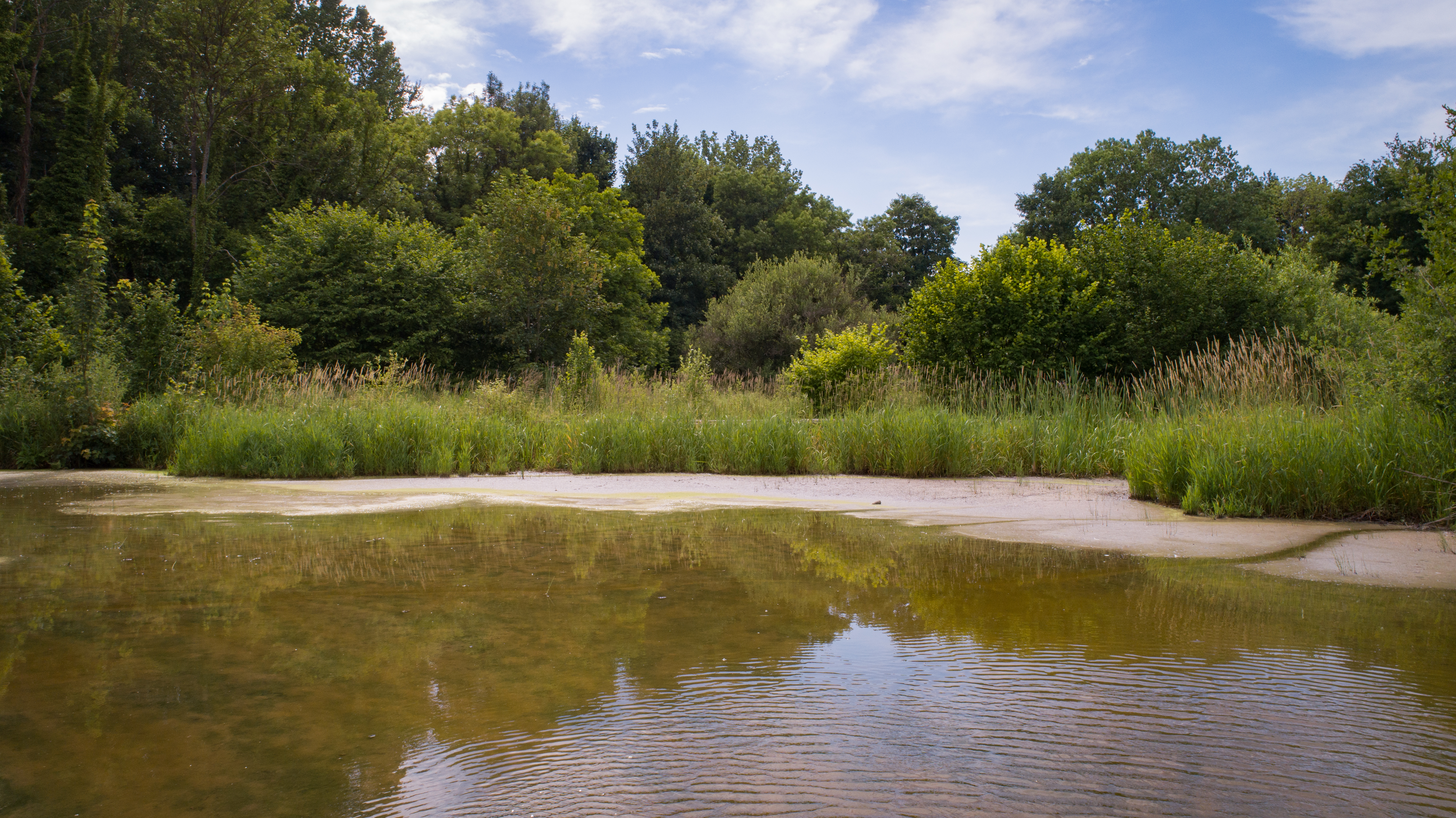 Parcours pédagogique de la zone humide de Gournay