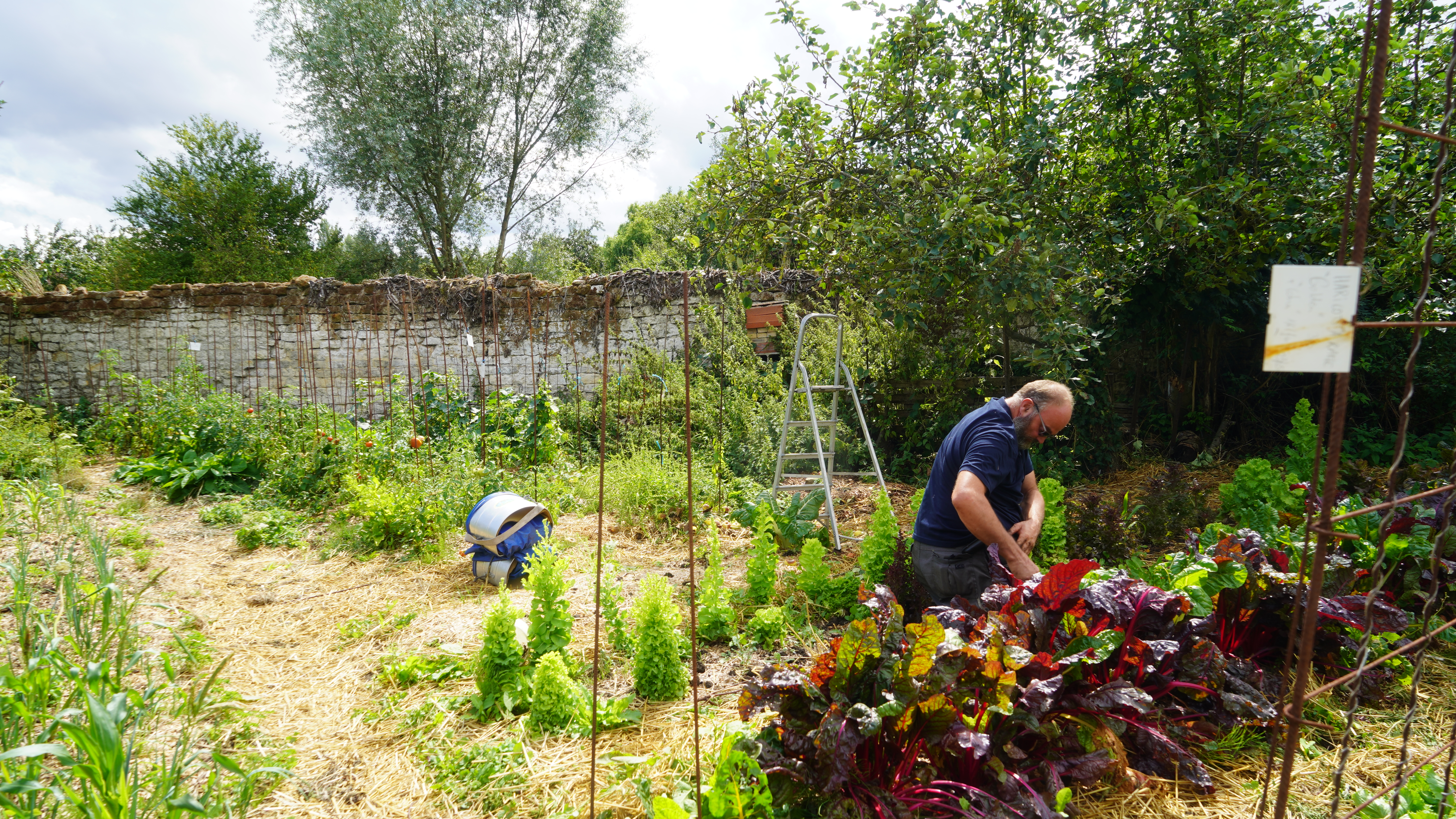 Ferme l'arbre à poule