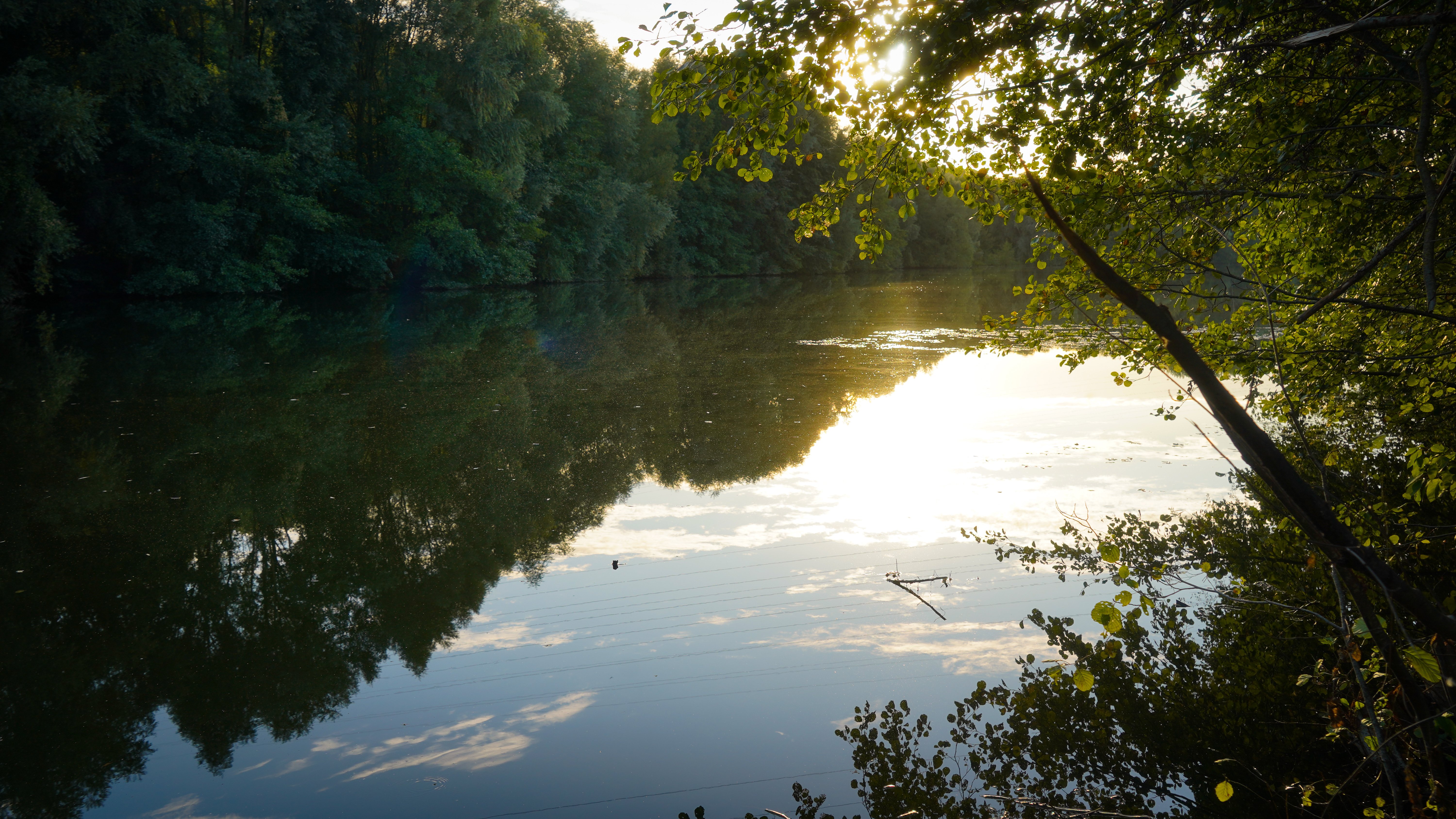 Etang de Thiverny