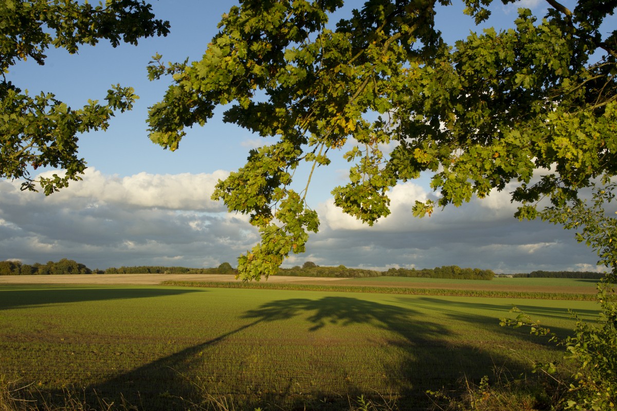 Sur le chemin