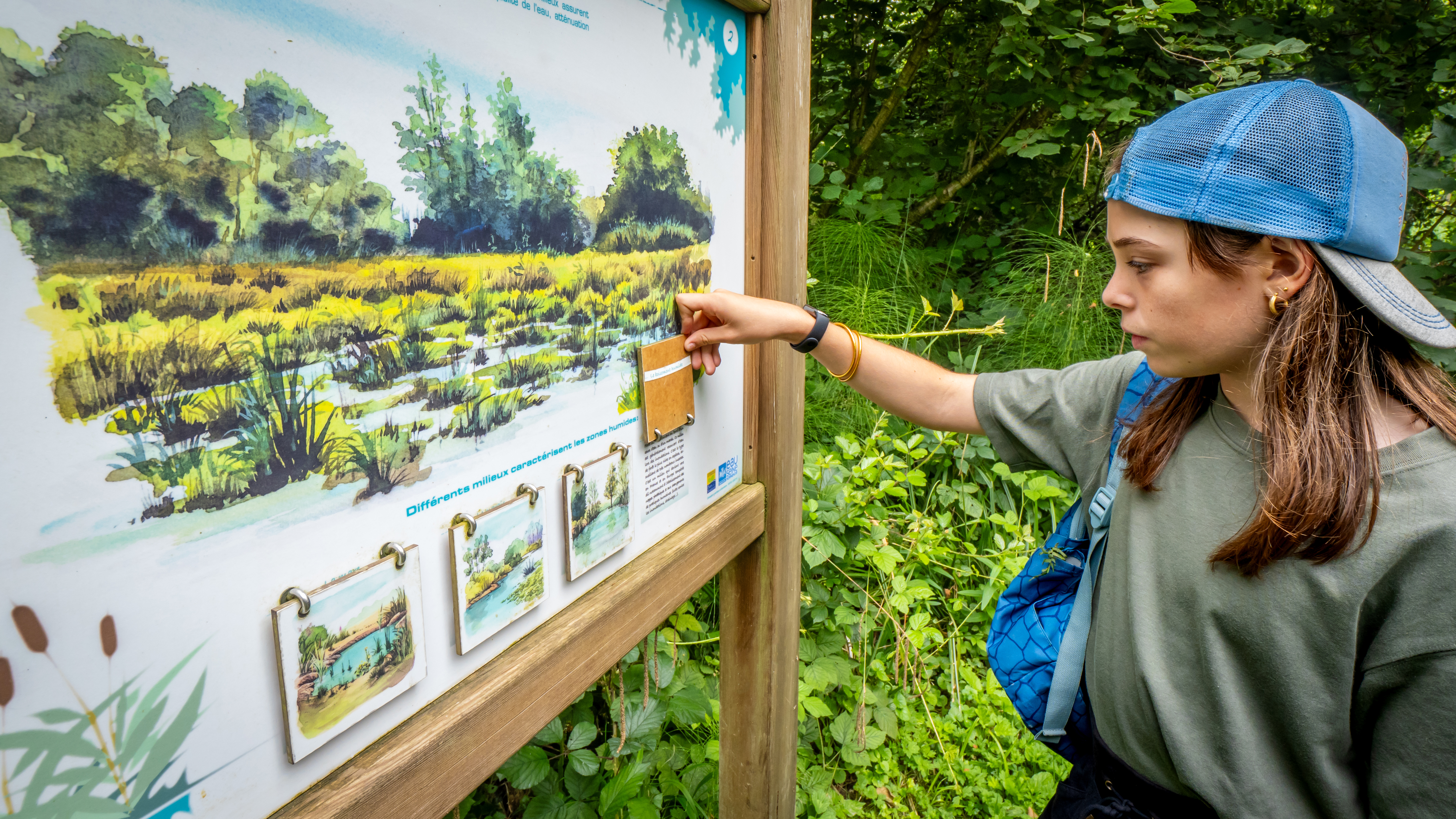 Parcours pédagogique zone humide