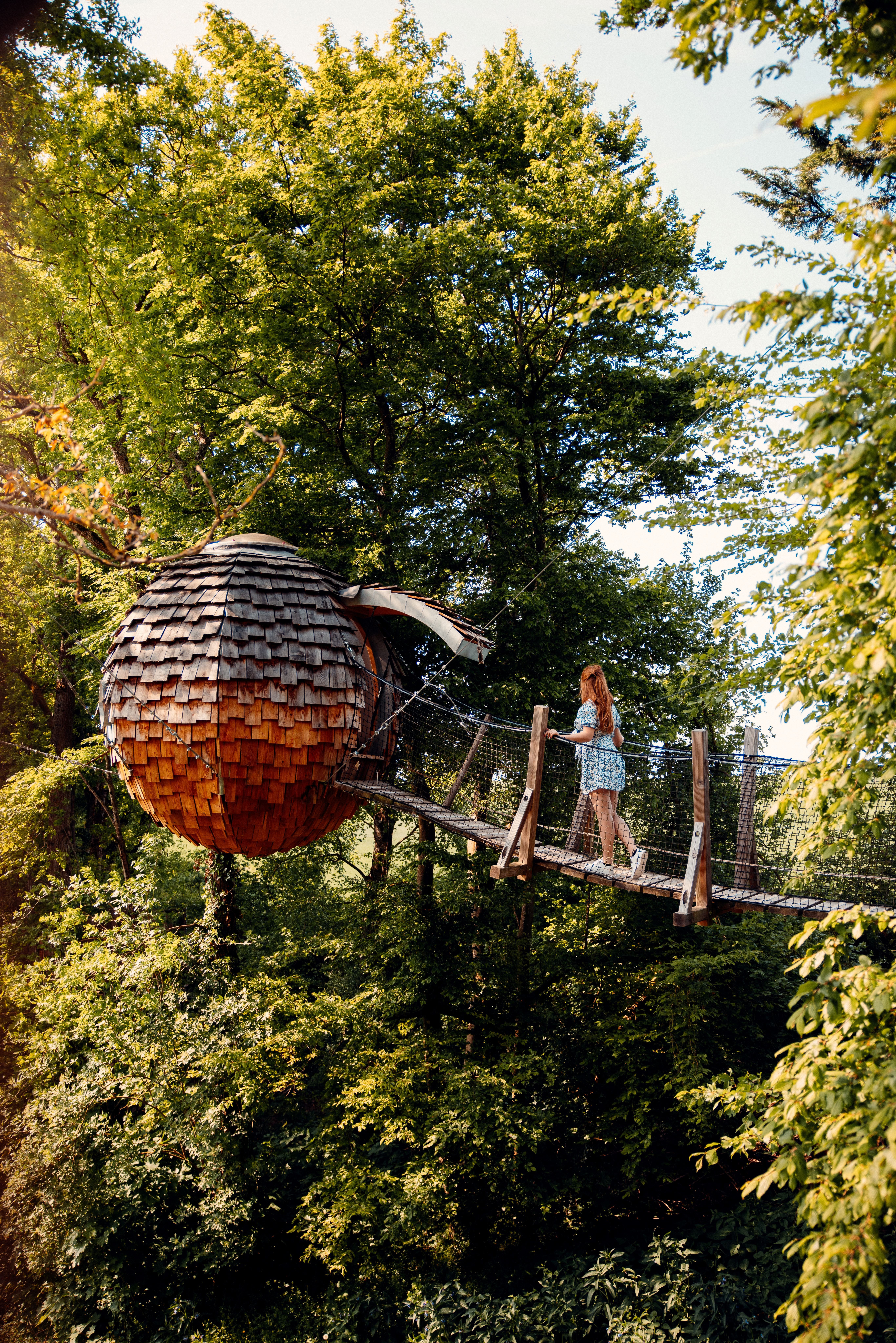 Etoilé cocoon Bois de Rosoy crédit - Elsa et Cyril Mai 2022 (1)
