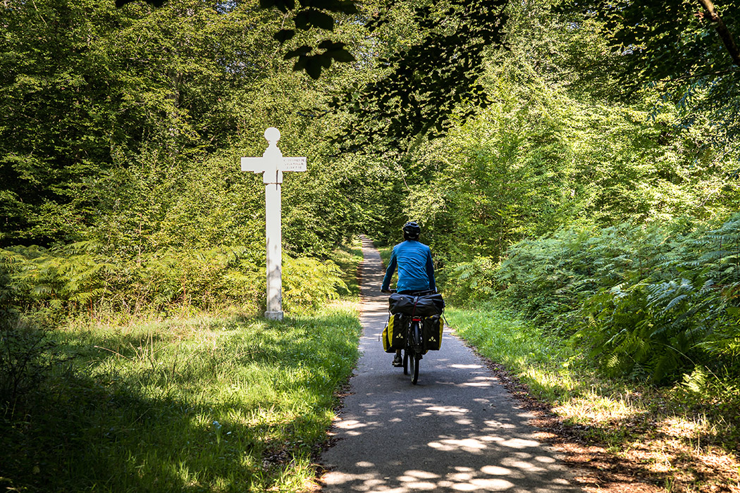 National Forest de Compiègne - Compiegne-Pierrefonds