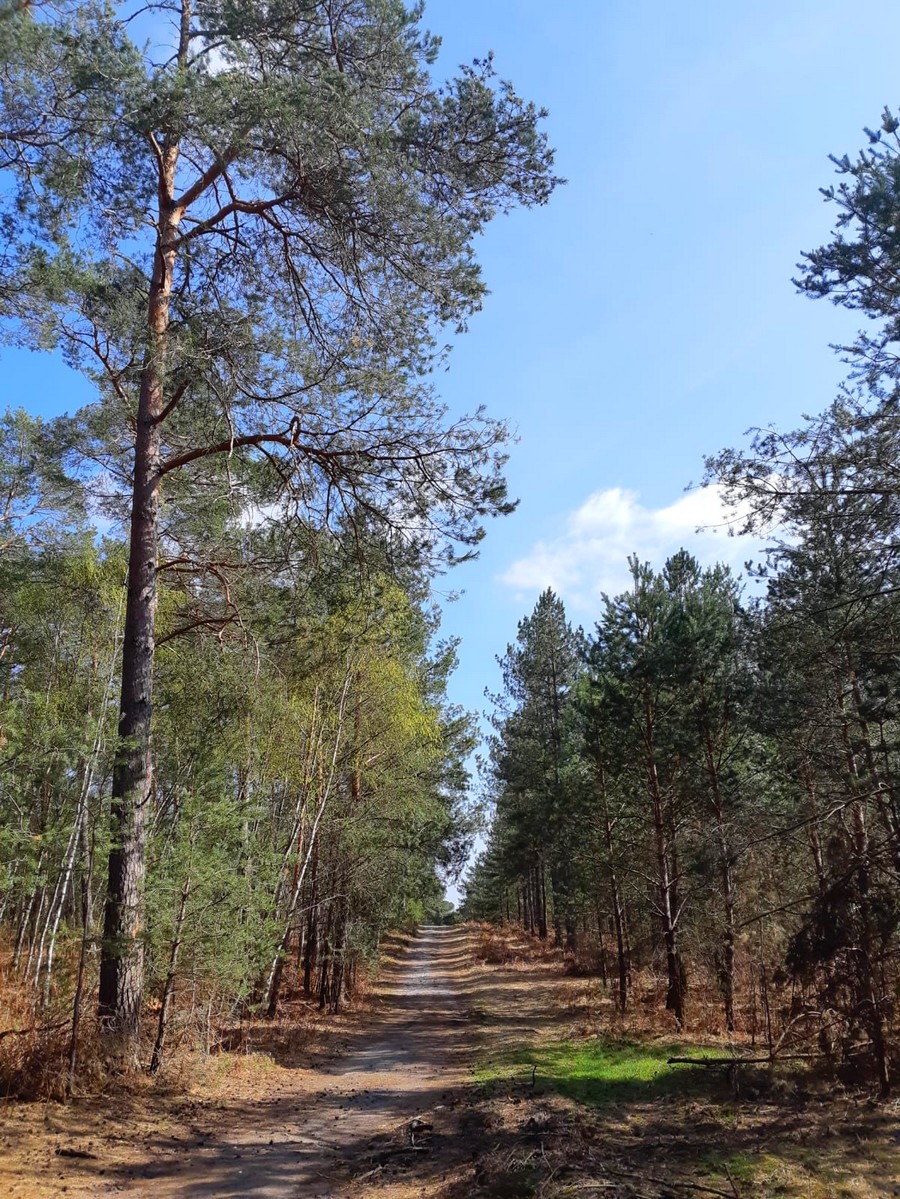 Parc Naturel Régional Oise-Pays de France