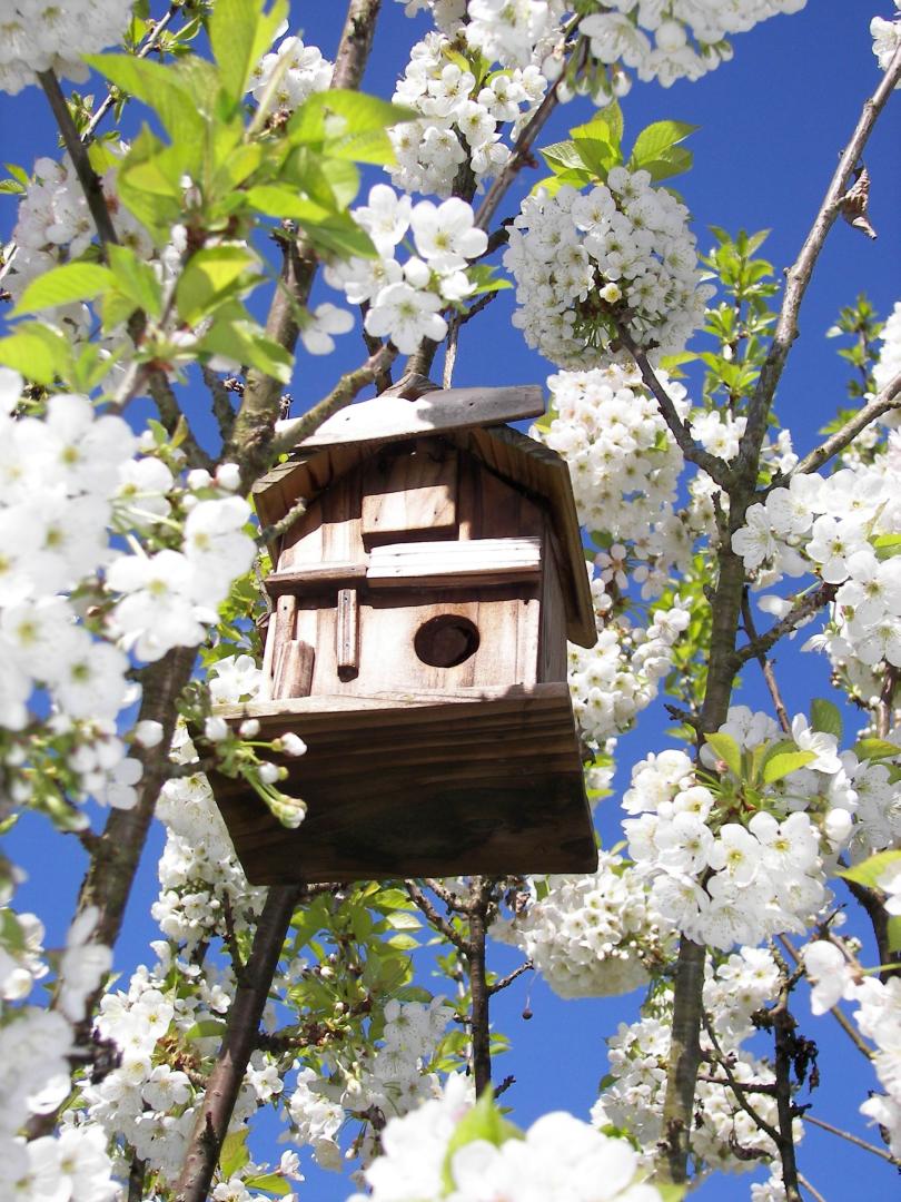 ORROUY La Ceriseraie