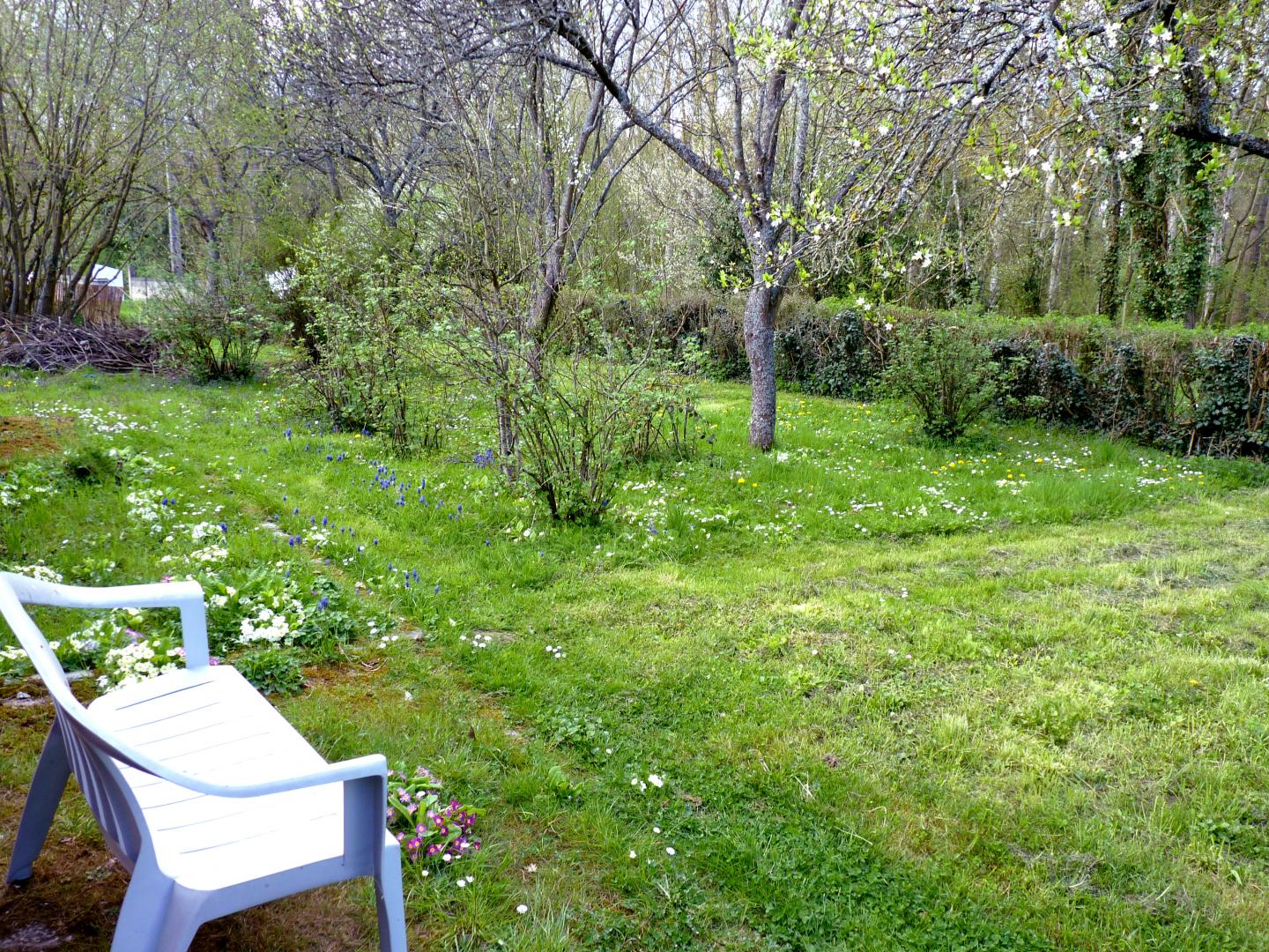 BETZ L'Orée des bois