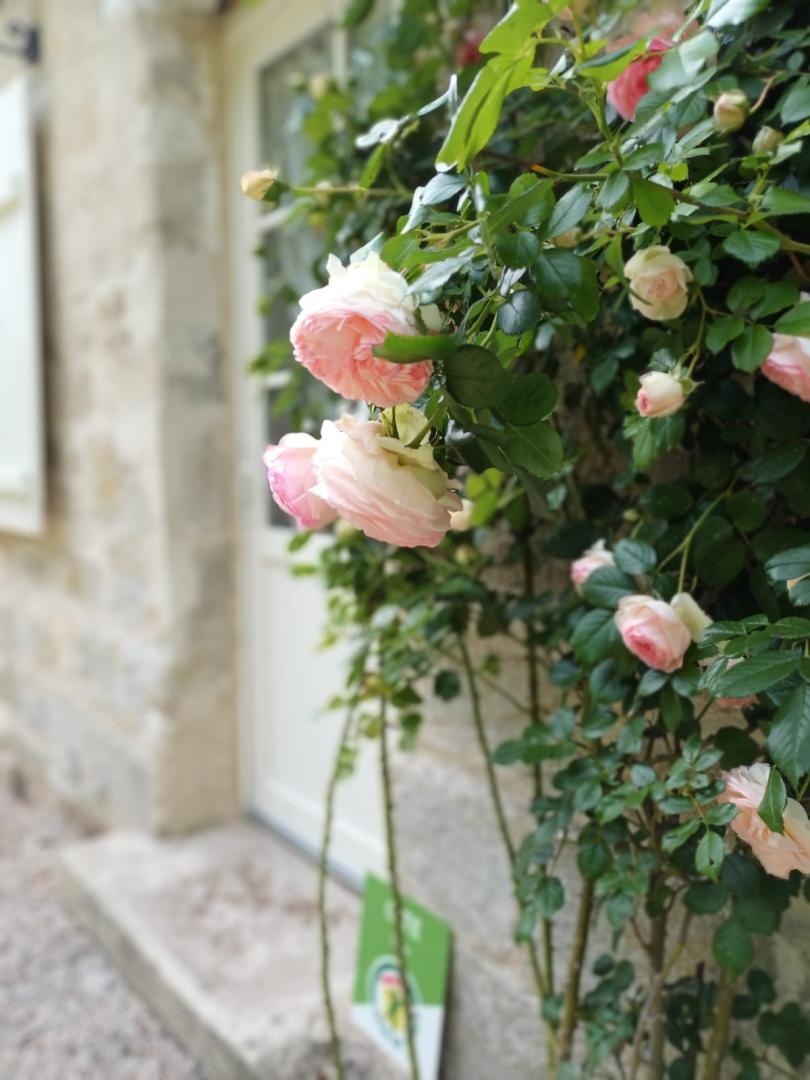 MORIENVAL La petite belle au bois