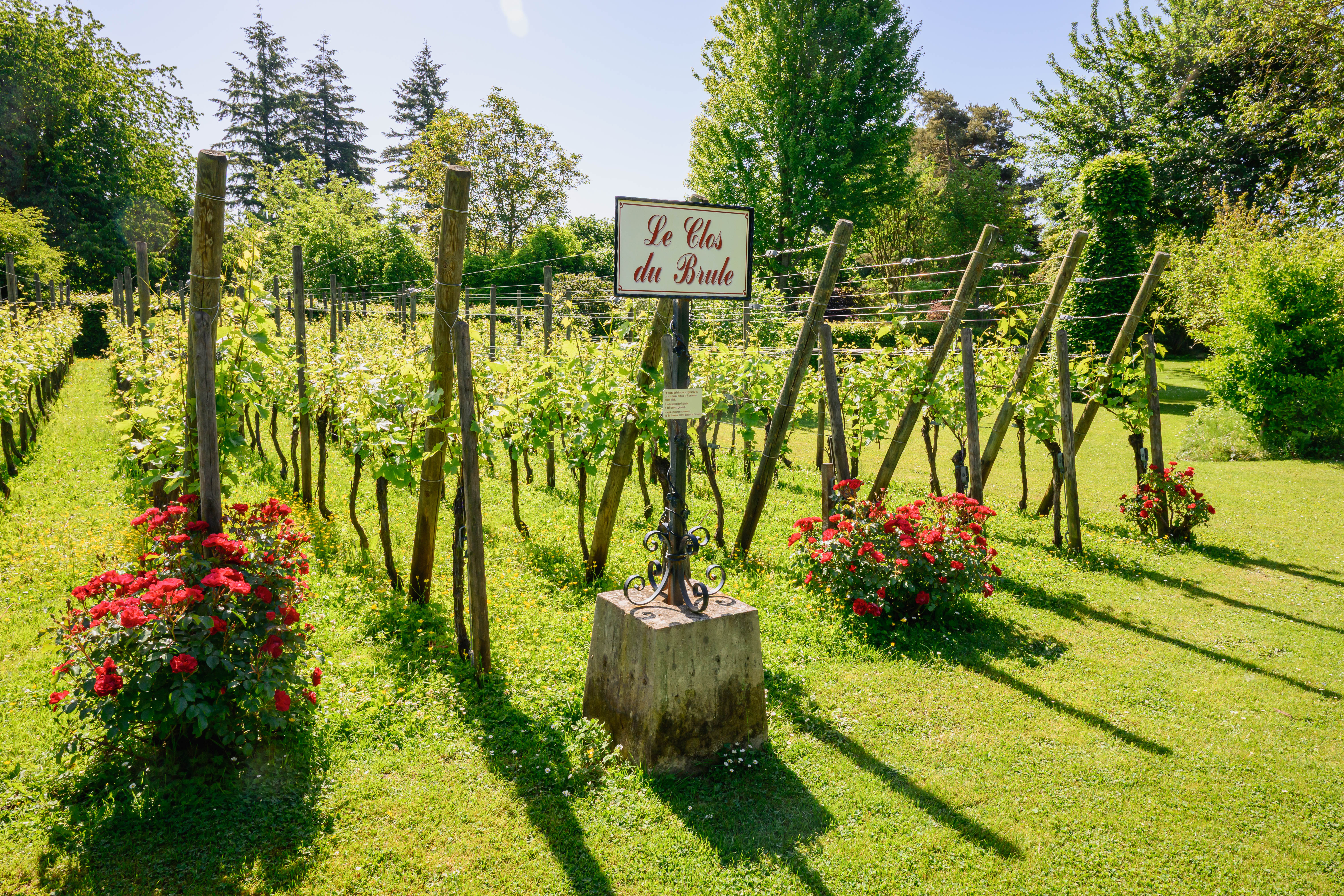 Jardin du Brûle