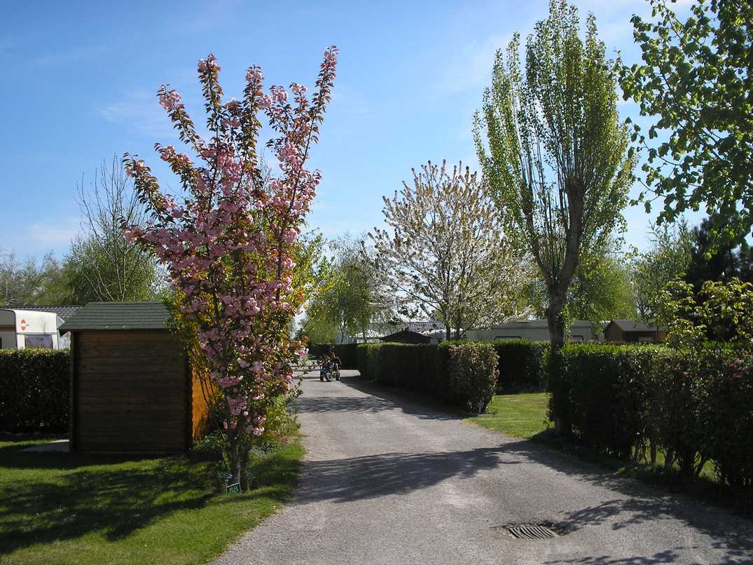 SARL RIQUET Christophe Camping Le Champ Neuf