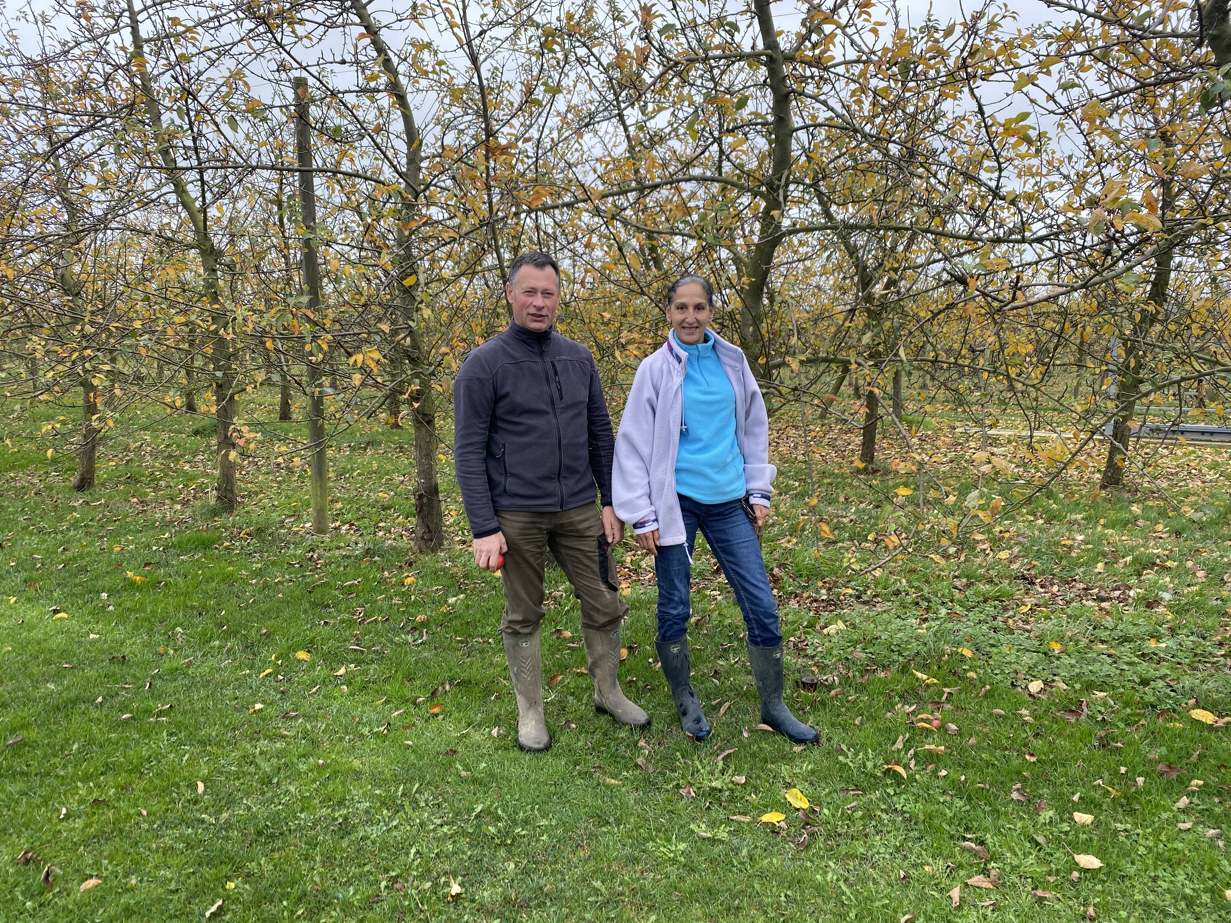 Producteur Récoltant Eleveur de Calvados Domaine de la Mottelette