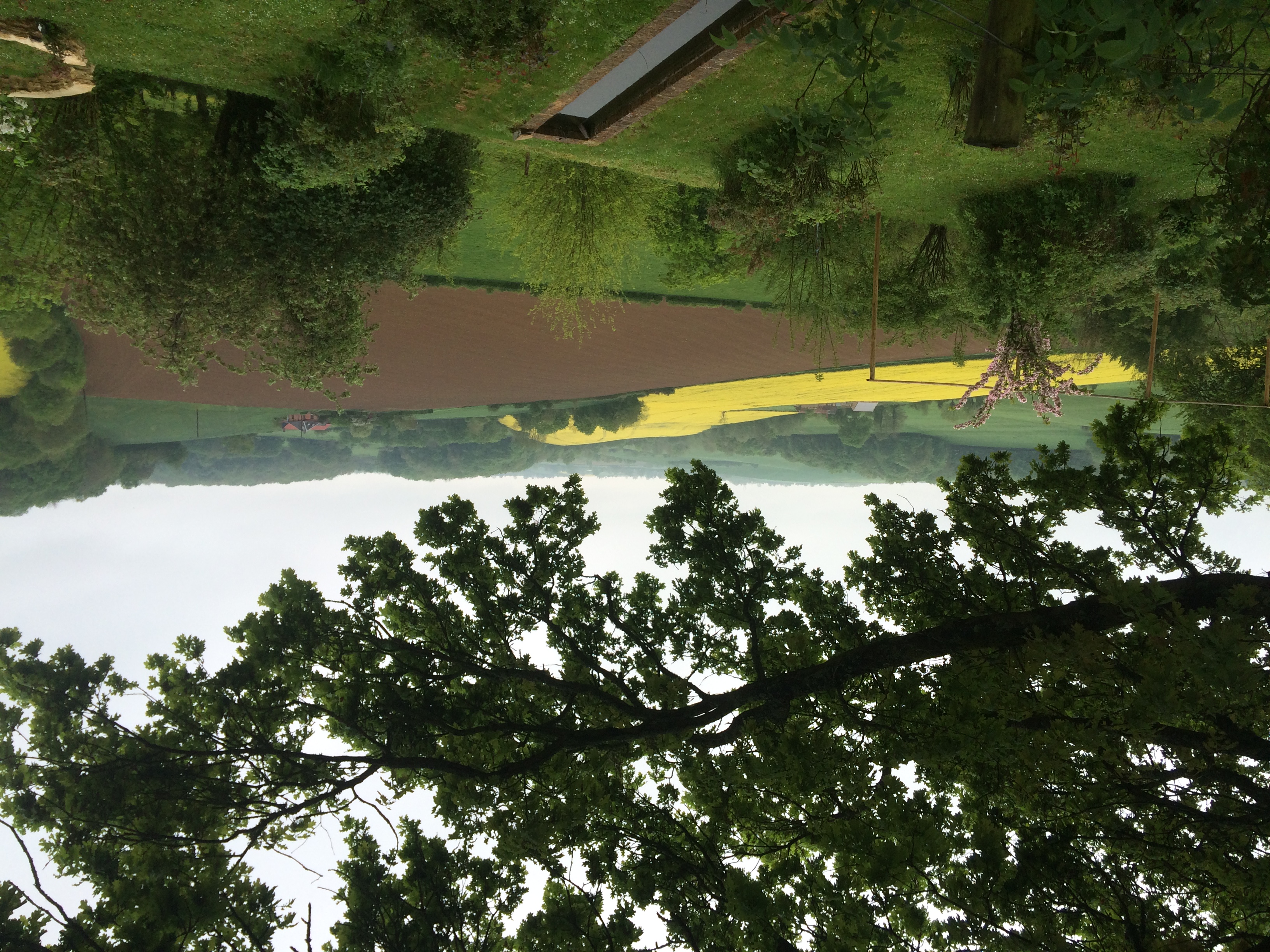 Aire de pique nique de Lannoy Cuillère - Fréttencourt