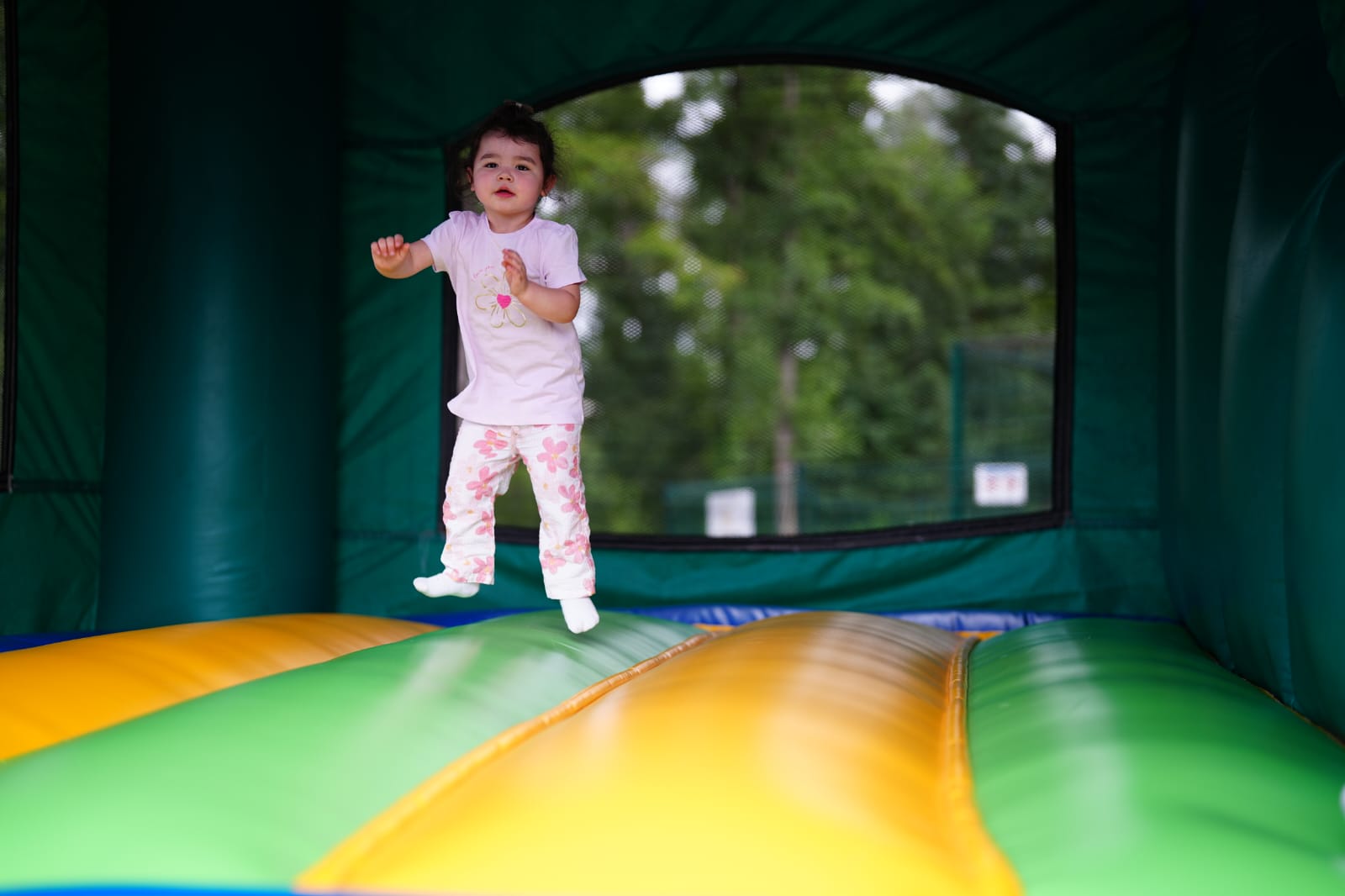 Parc Saint Léger - Parc Animalier