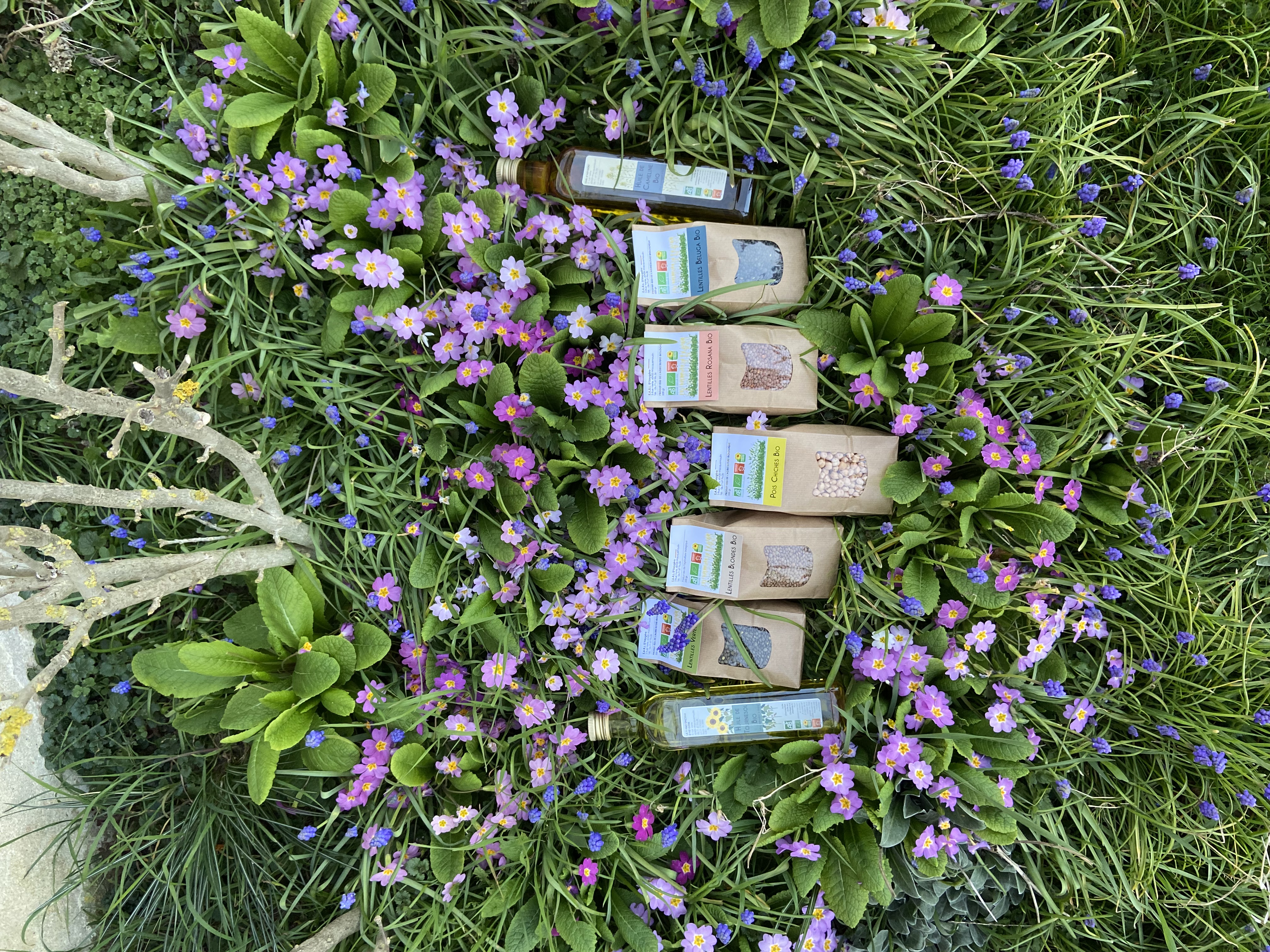 Ferme épicerie d'Heygere