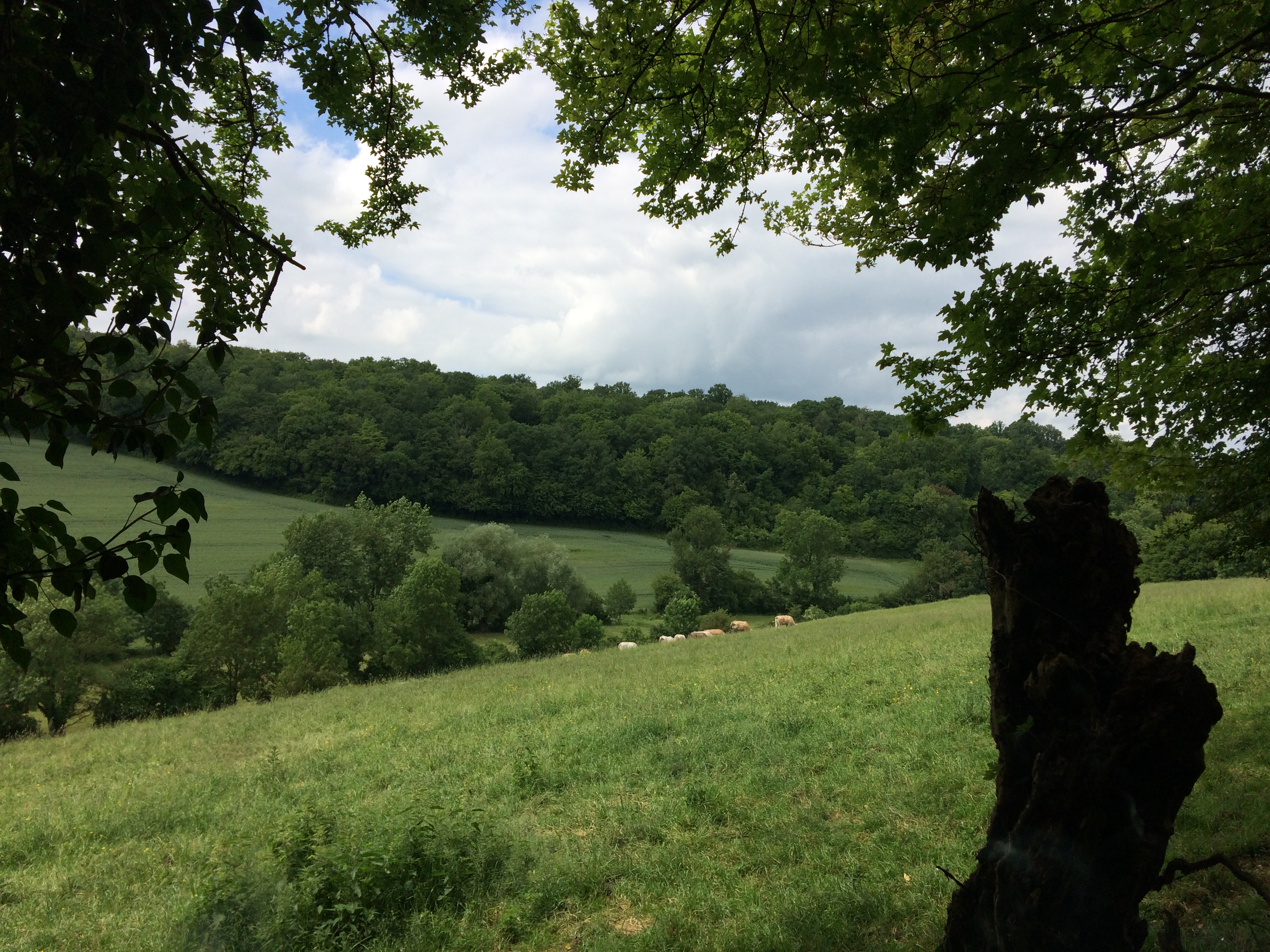 Aire de pique nique de Vrocourt