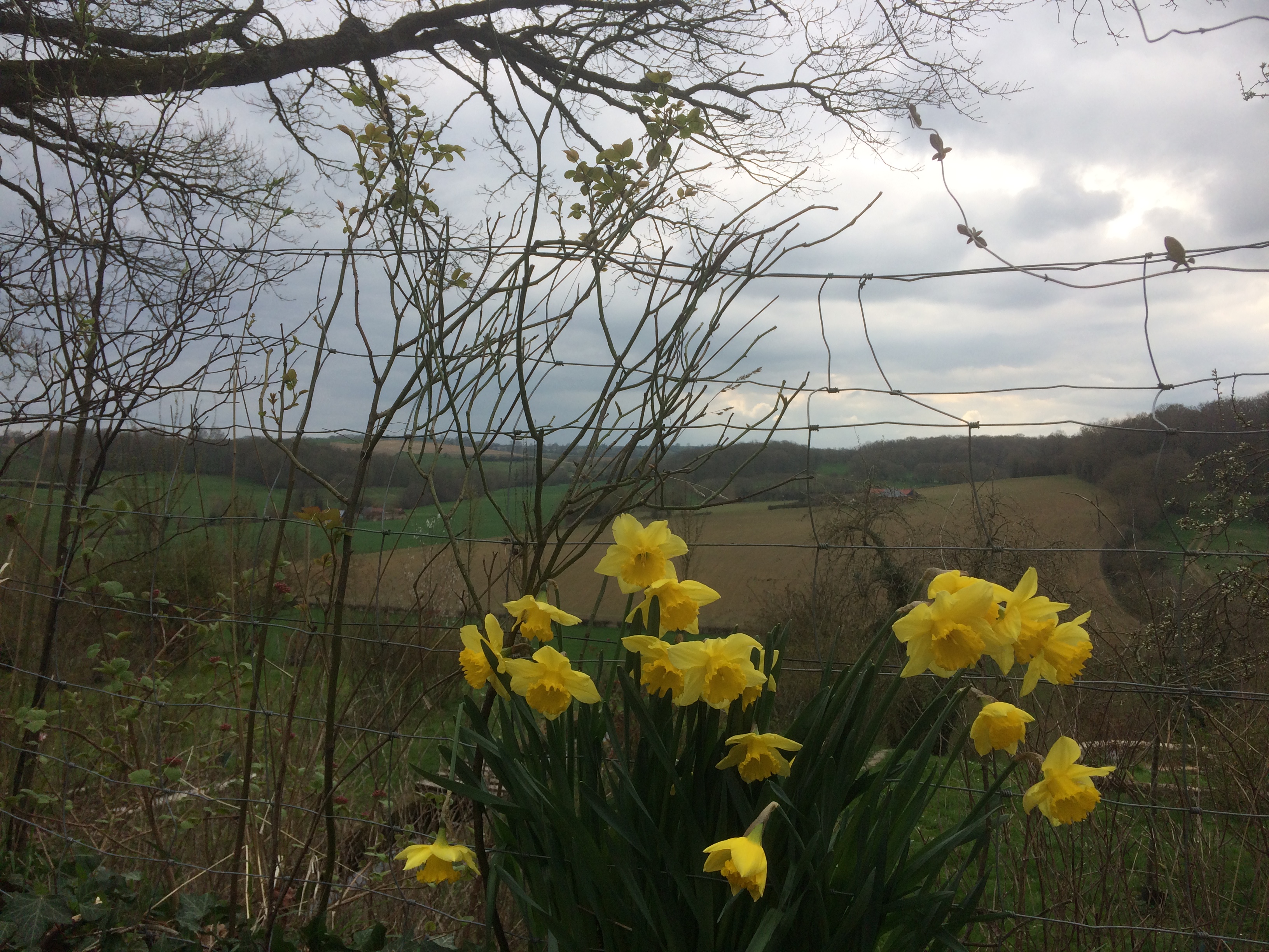 Aire de pique nique rue de Haincourt