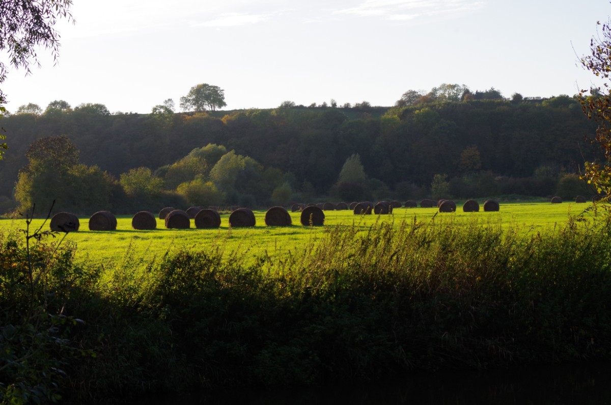 La Ferme de Courcelles, gite en pays de Thiérache
