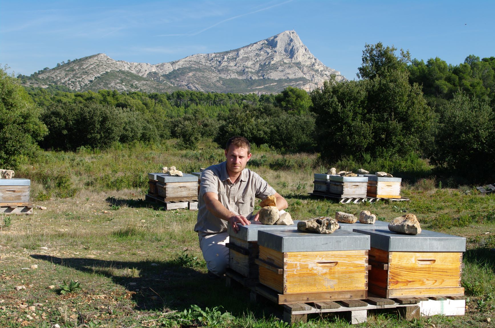 Les Bons Miels du Vexin et du Midi