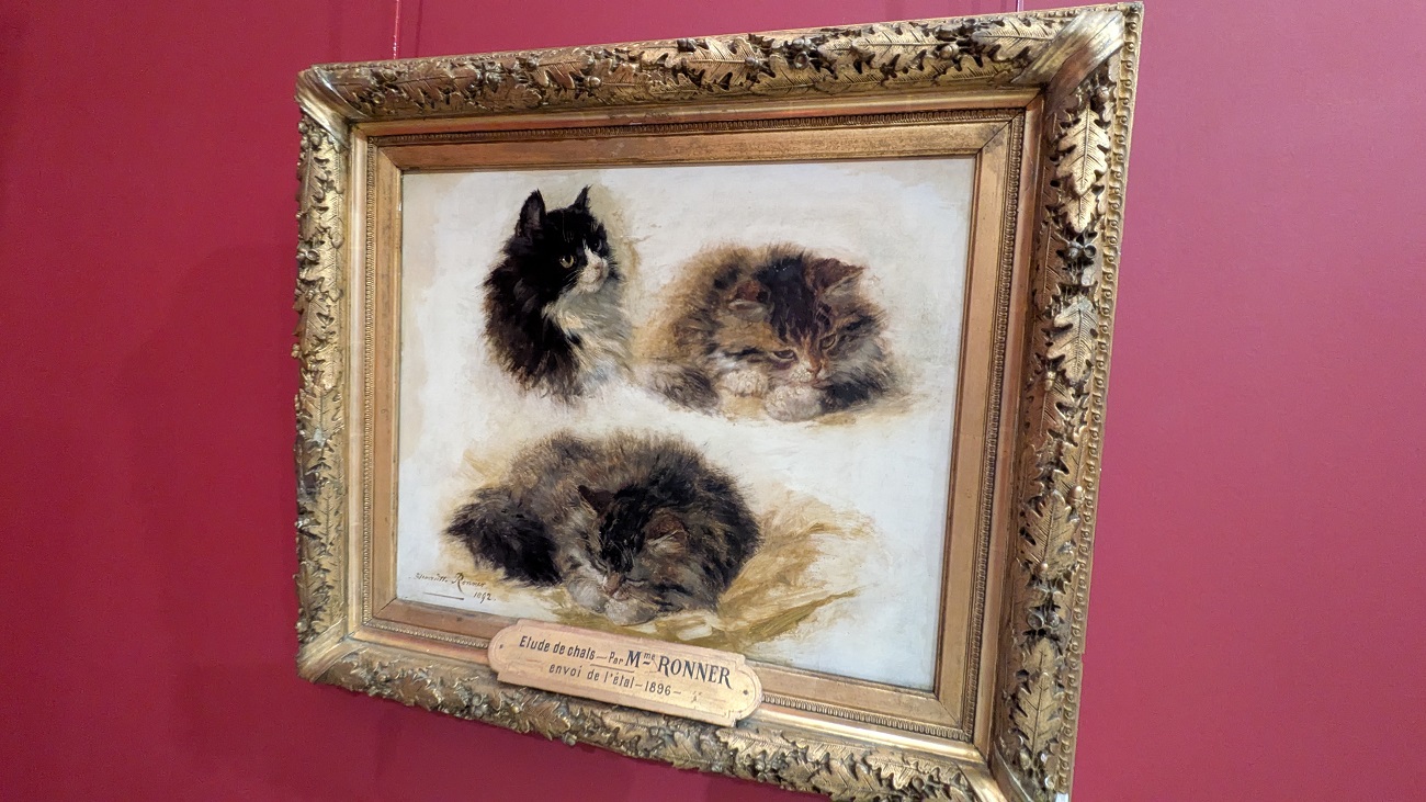Exposition à Laon : "Chat, chat, chats !"