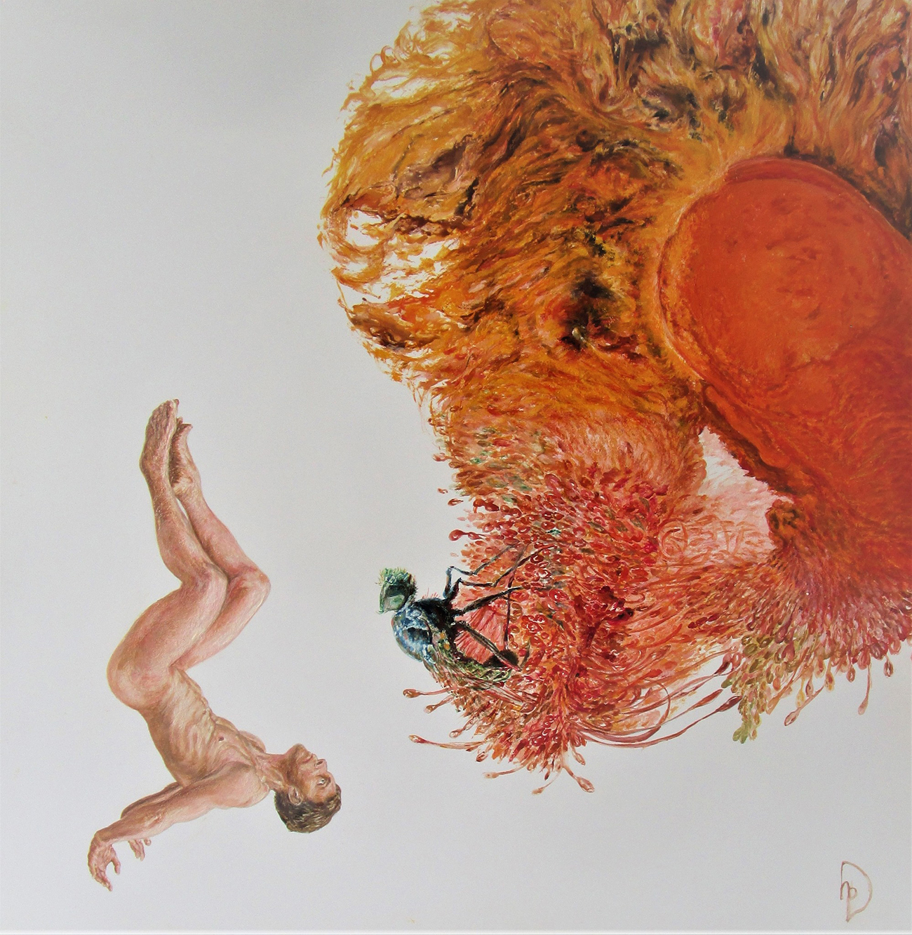 Exposition Le Coin des Artistes < Laon < Aisne < Picardie 