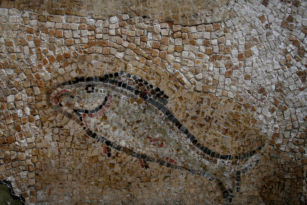 Musée art et archéologie expo Histoires d'eau < Laon < Aisne < Picardie