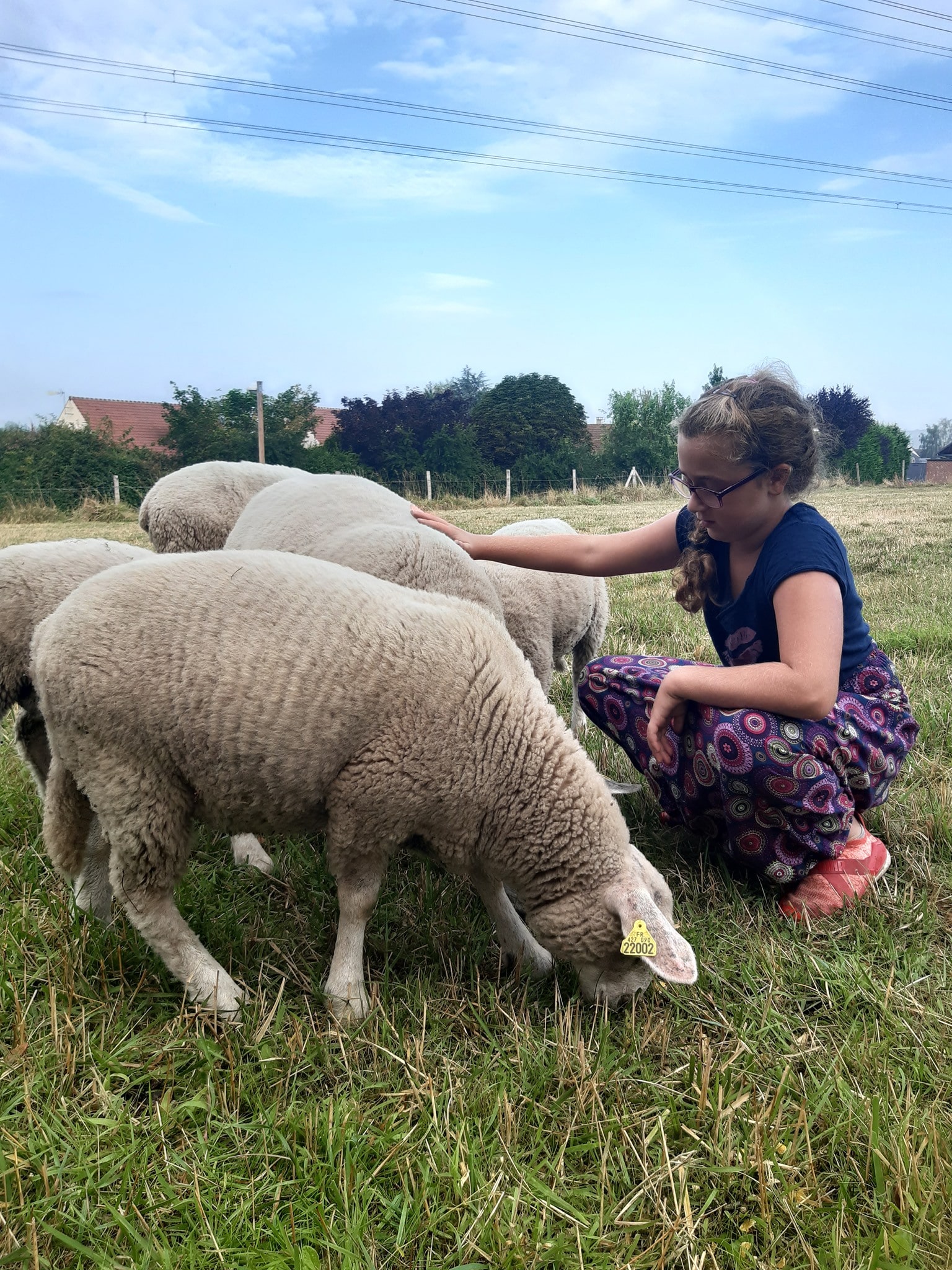 Ferme de Natur'a