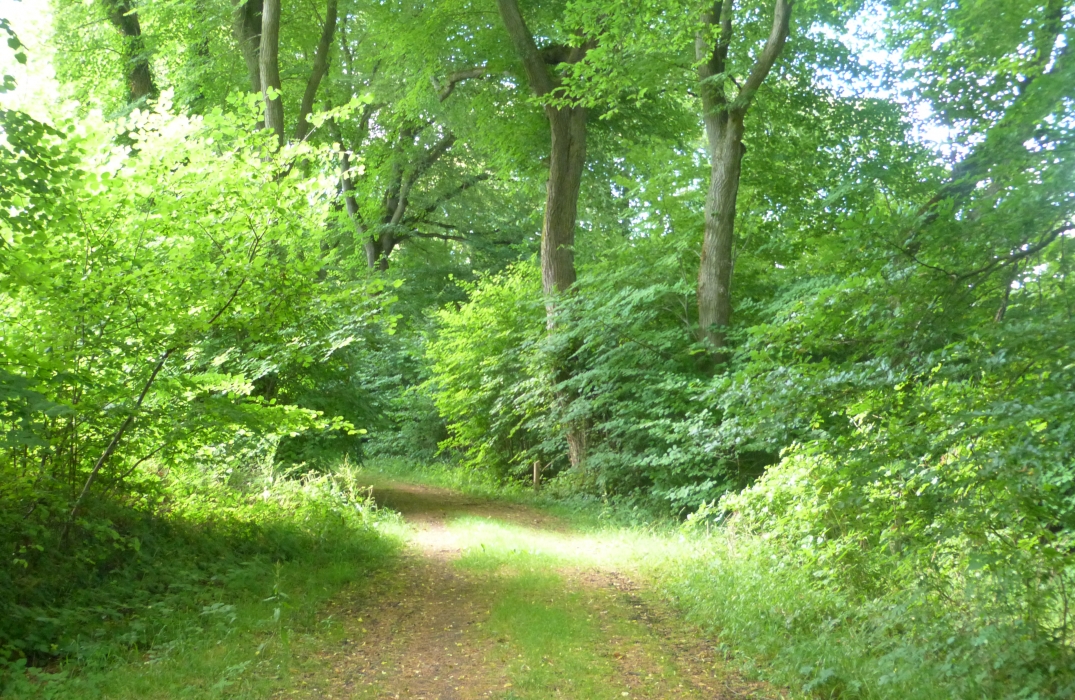 De Méru à Trie-Château – Oise Gravel Tour