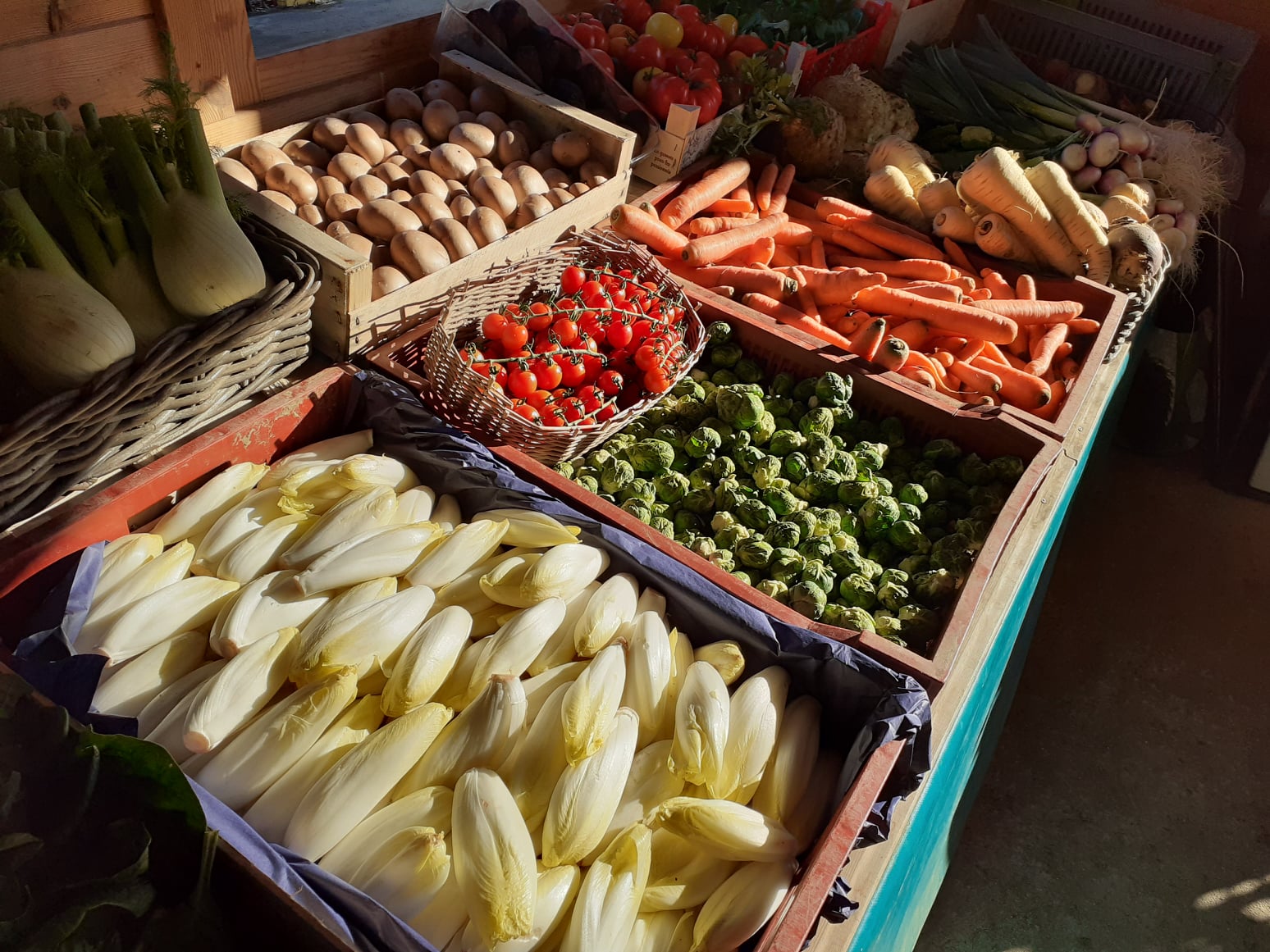 Les serres de Courtieux